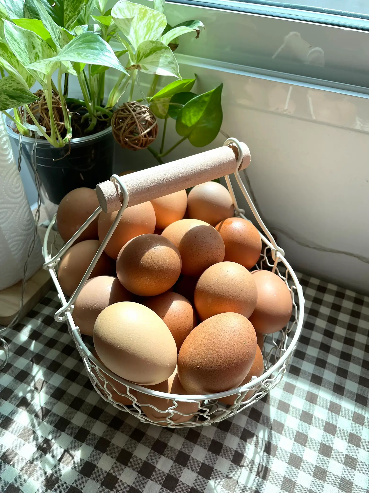 Egg Baskets For Fresh Eggs - Temu Philippines