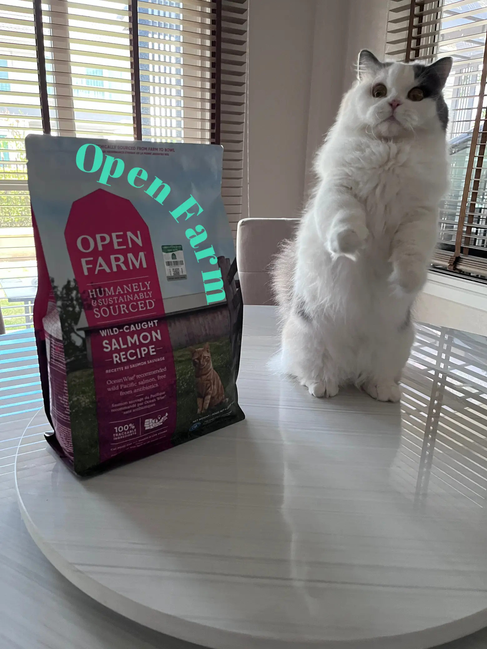 Open Farm Cat Food Review After Used 3 Recipes Gallery posted by