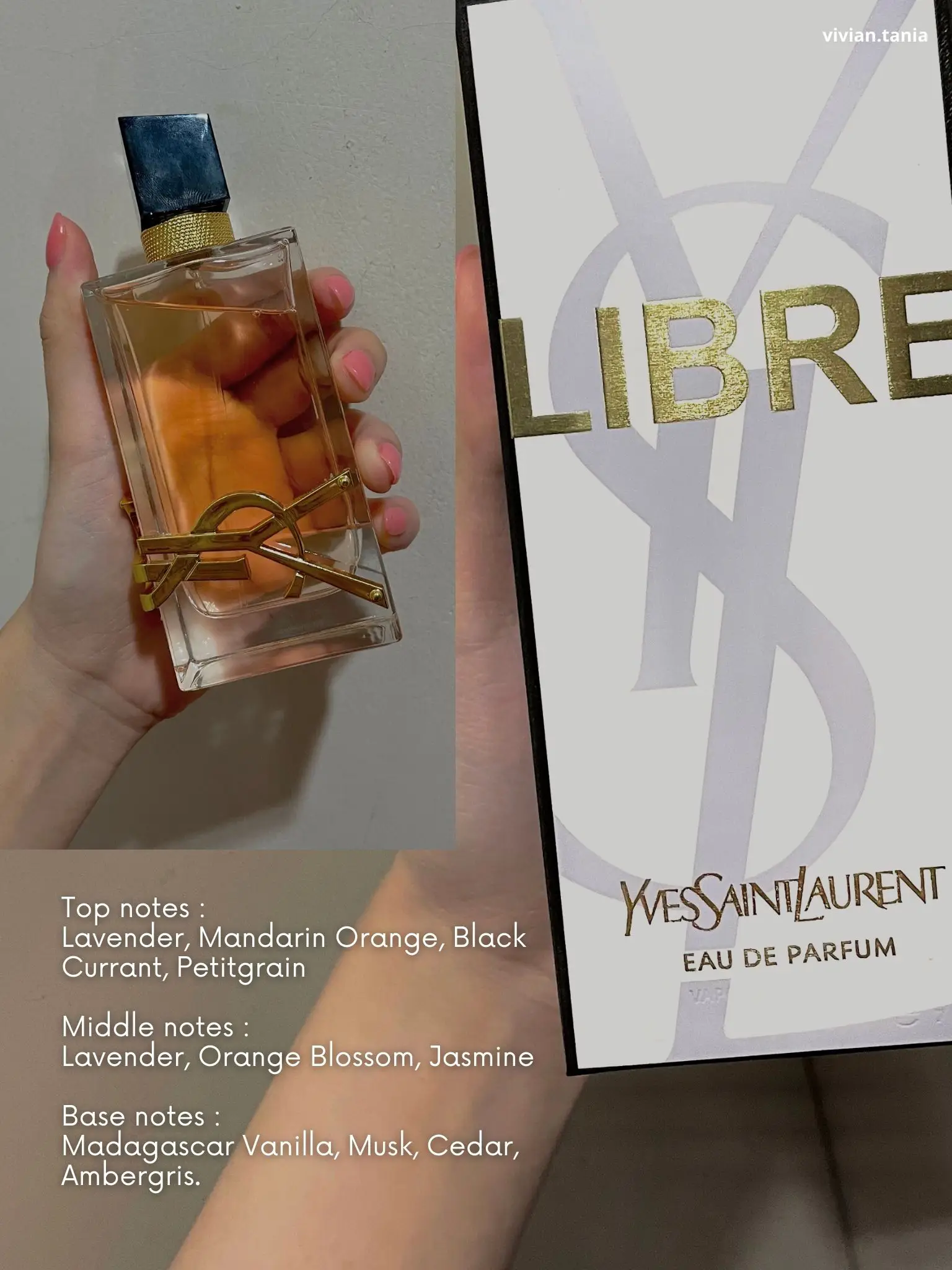 RECOMMENDED DESIGNER PERFUME FOR NEWBIE: YSL Libre, Gallery posted by  Vivian