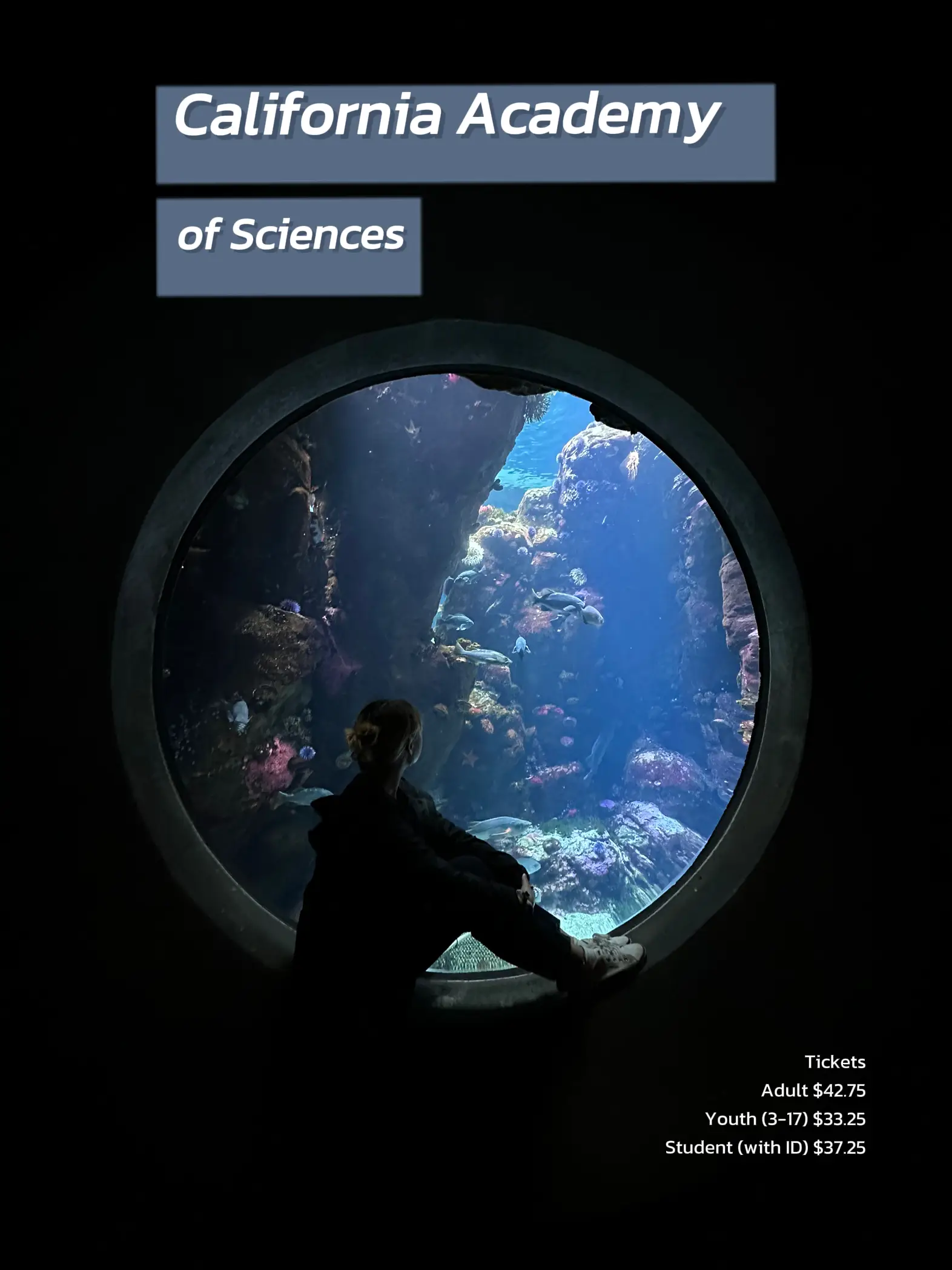 🎡San Francisco Bay Area Trip 🚗 Driving Edition🚗 Gallery posted by tonnambenya Lemon8