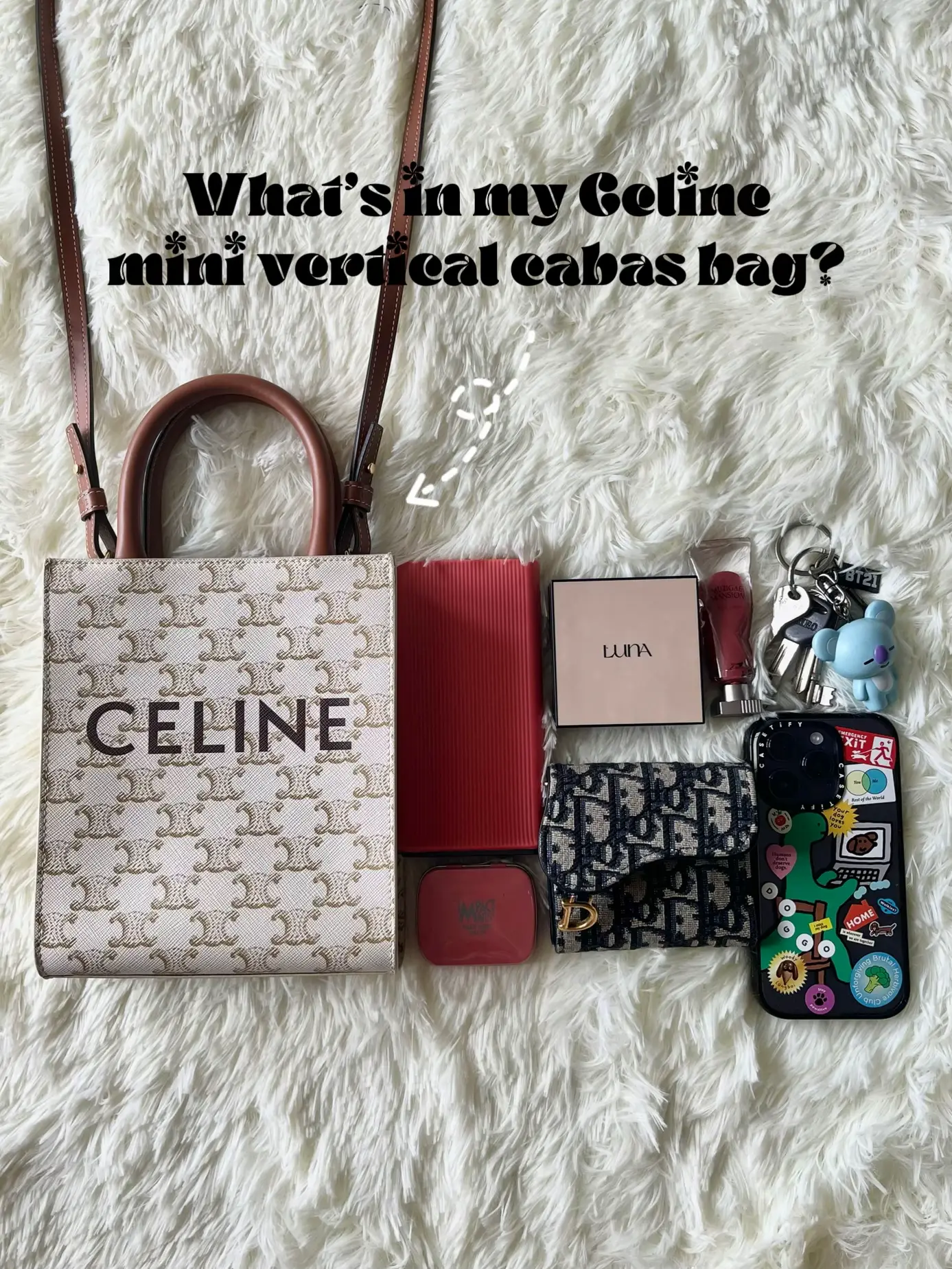 Is the Celine mini vertical cabas bag worth the 💰?, Video published by  cora🤍