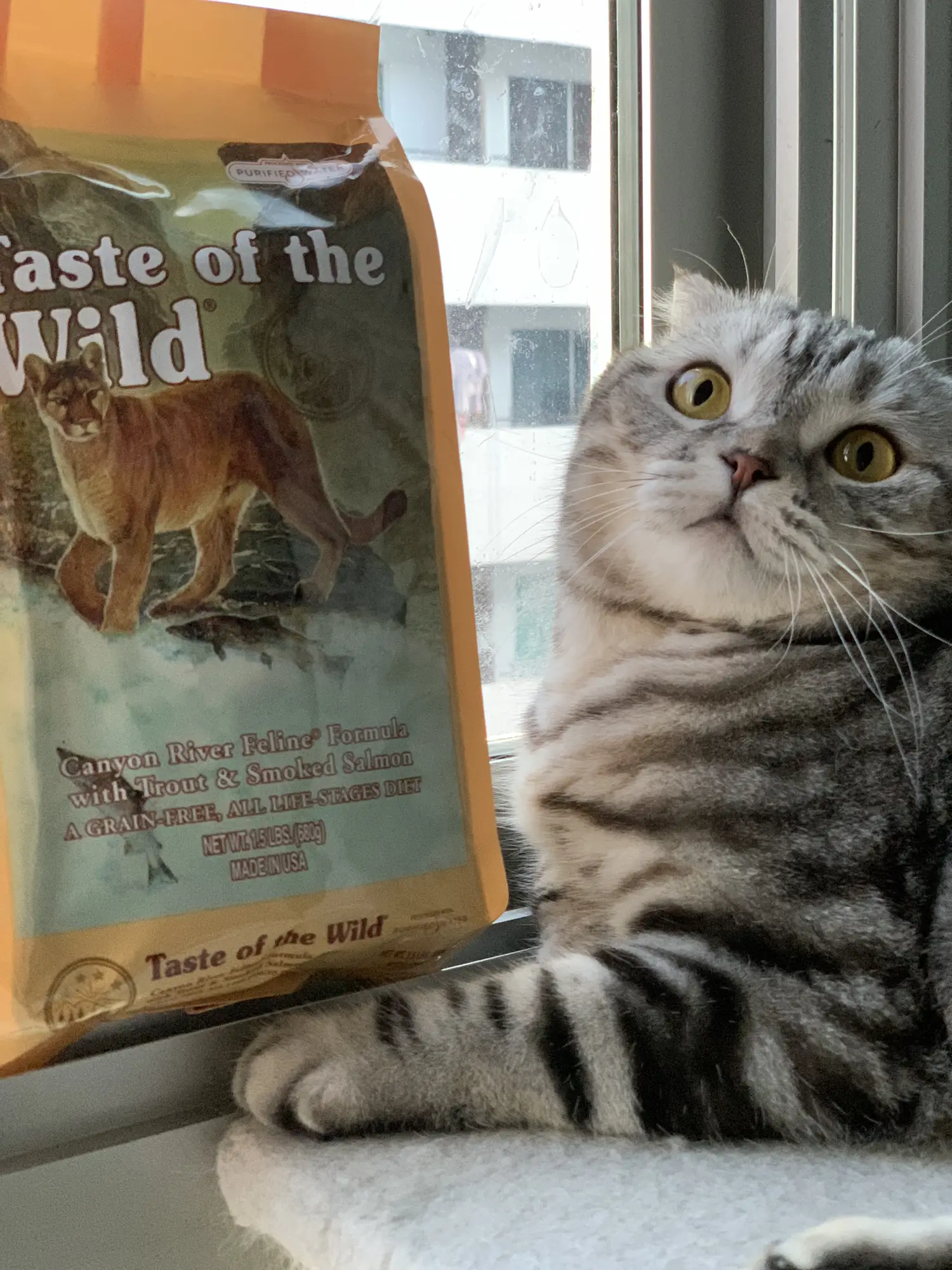 Taste of the top wild cat review