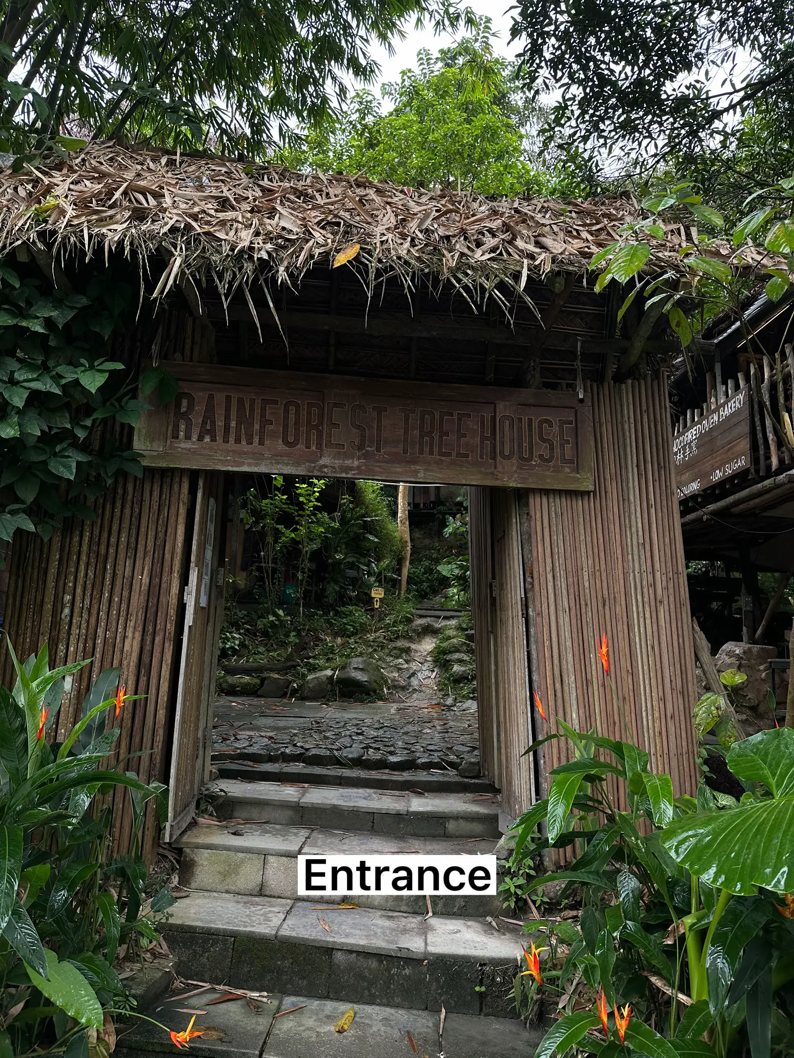 50mins from SG, a Treehouse Cafe in the Rainforest's images(9)