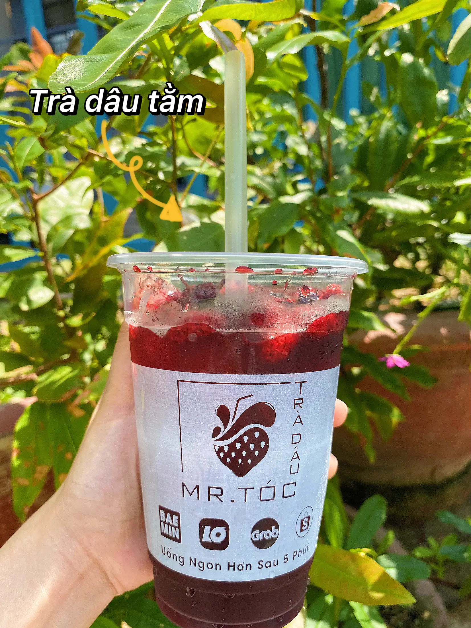 GIẢI KHÁT CÙNG TIỆM TRÀ TRÁI CÂY TƯƠI THƠM NGON🥤🥤 | Bộ sưu tập ...