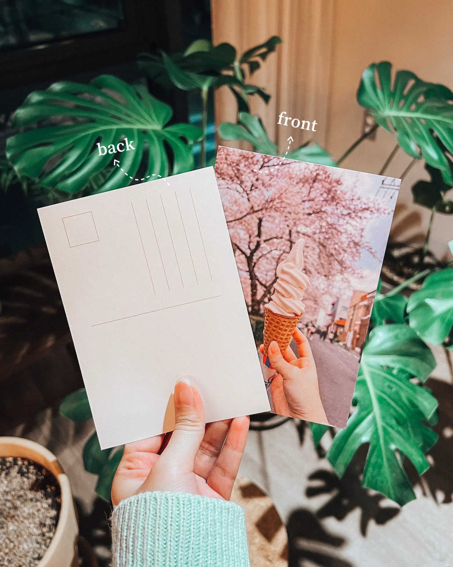 📸 Turning my photo into a postcards! | Gallery posted by clarissaacindy ...