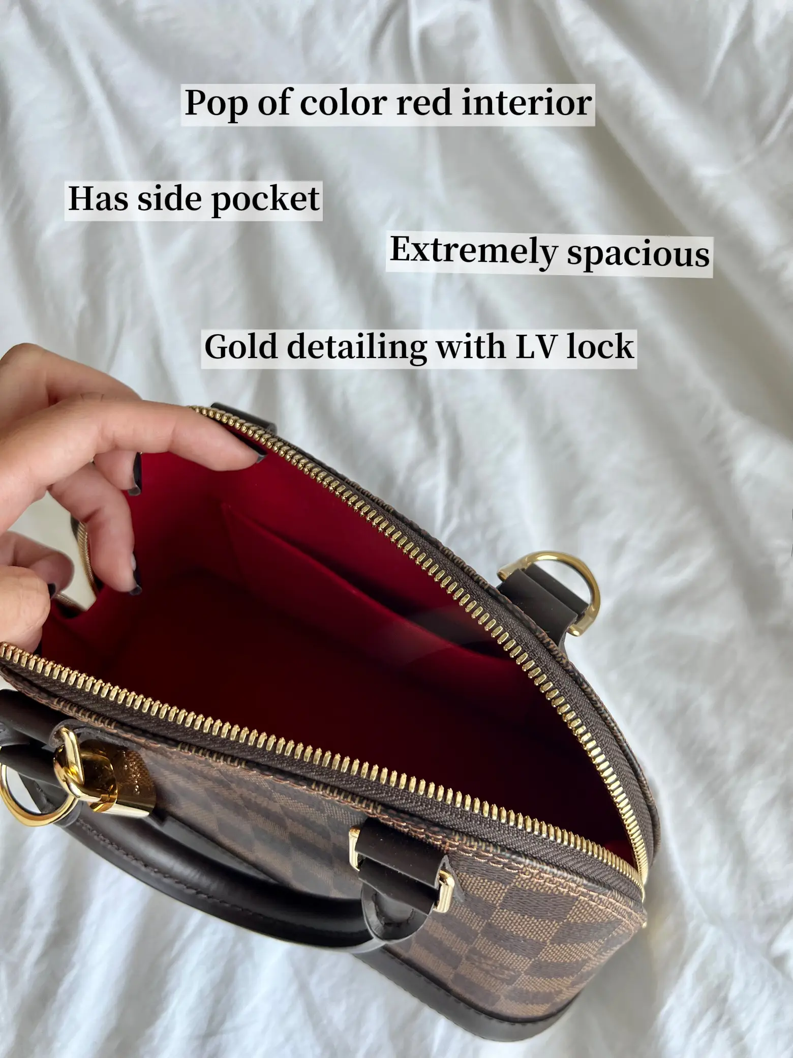 First Luxury Bag: LV Alma BB or YSL Lou Camera Bag? : r/handbags