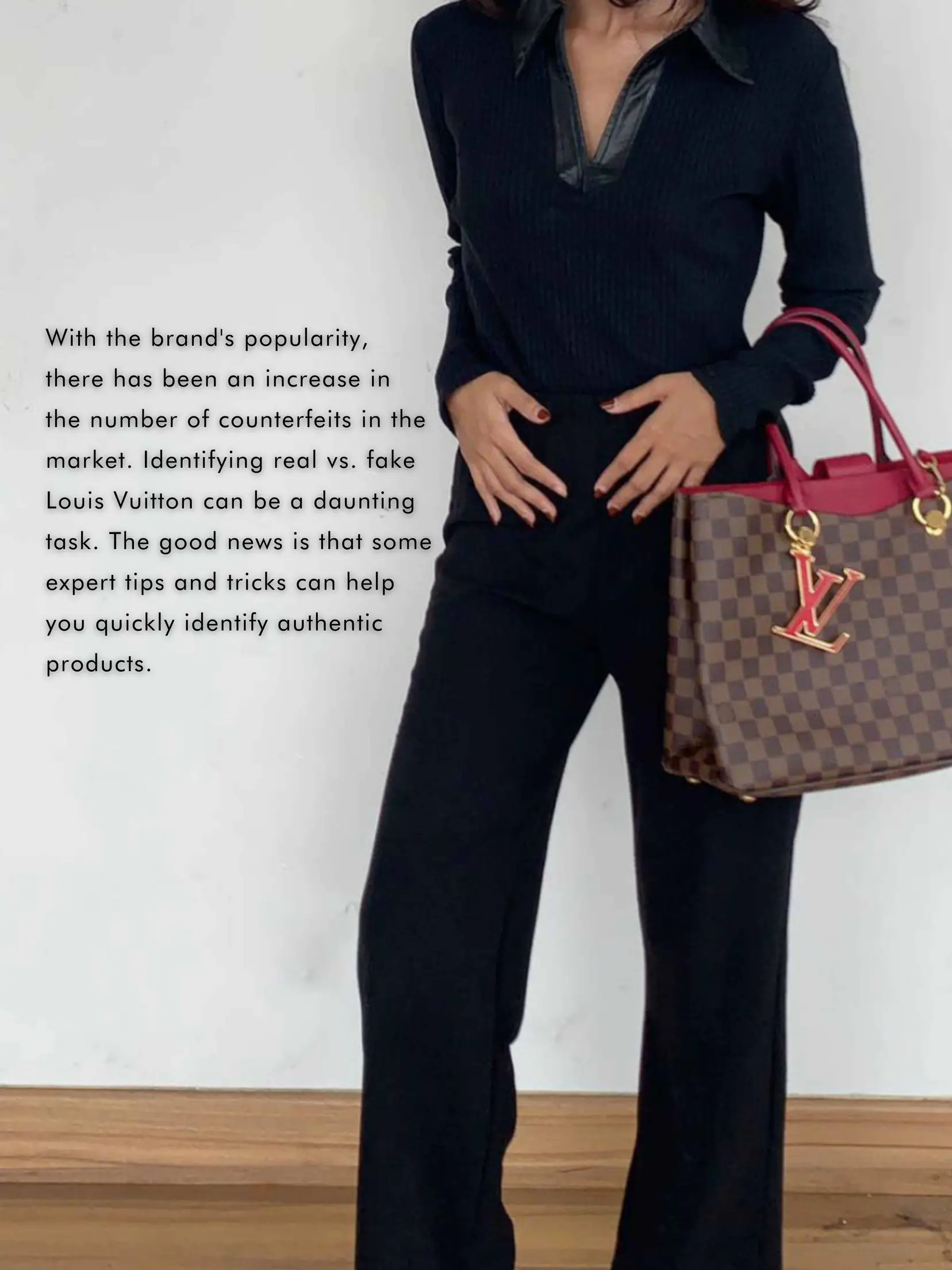 Lv Riverside best Louis Vuitton bag ! 