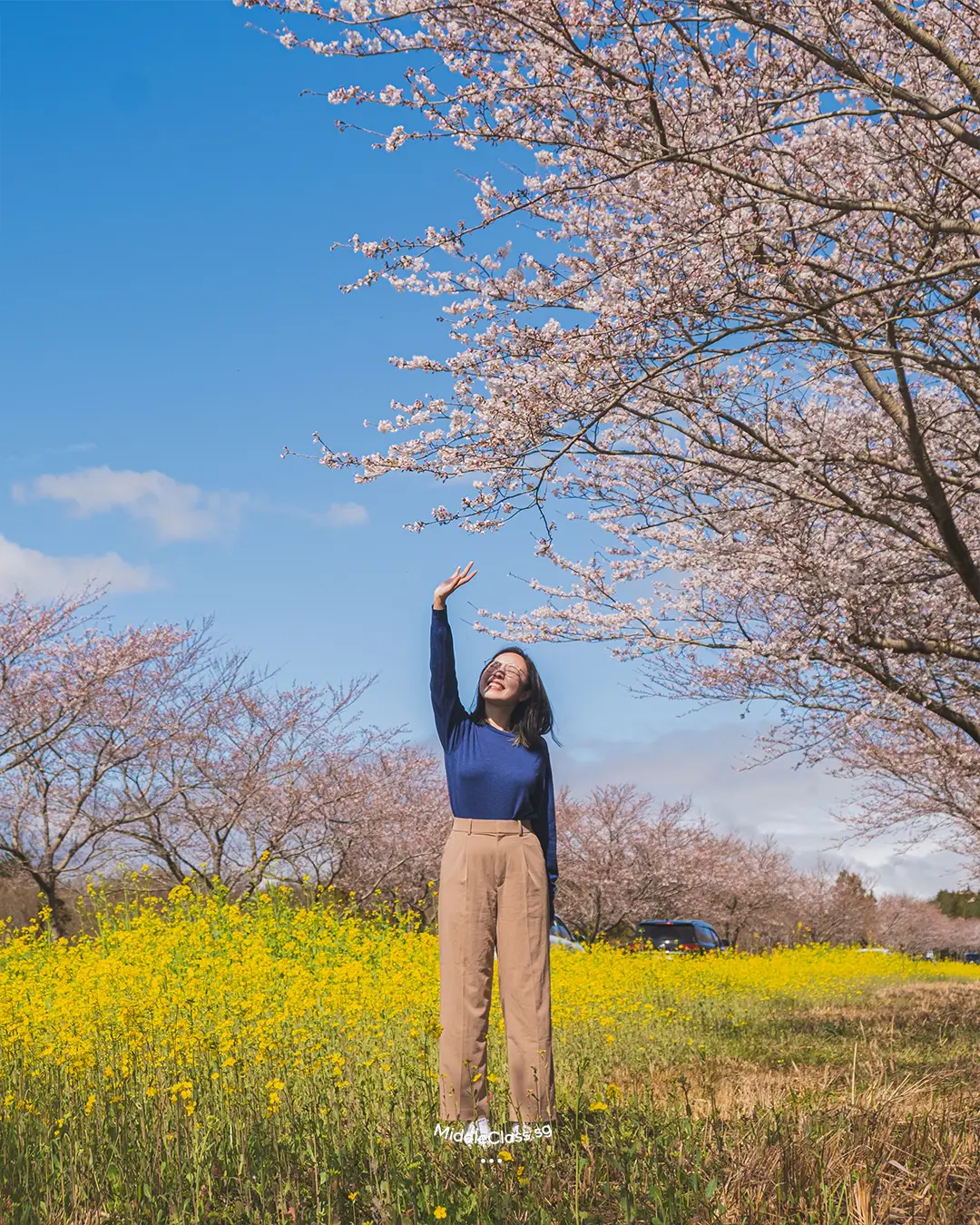 scenery of flowers - Lemon8 Search