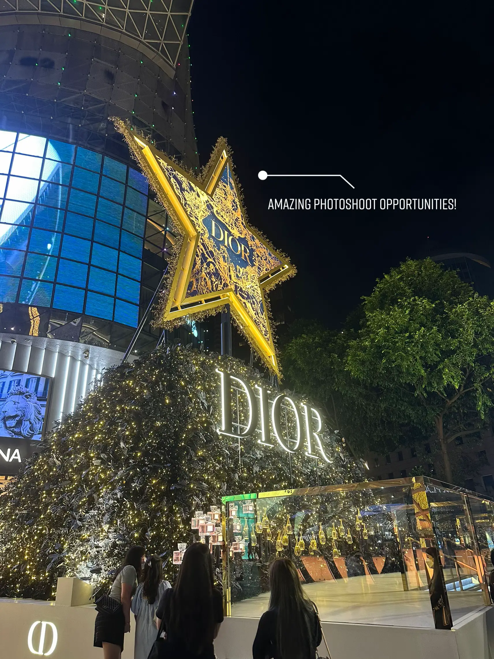 DREAMY DIOR CHRISTMAS POP-UP WITH FREE CUPCAKES, LEMONADE & POSTAL SERVICE  AT ION ORCHARD! - Shout