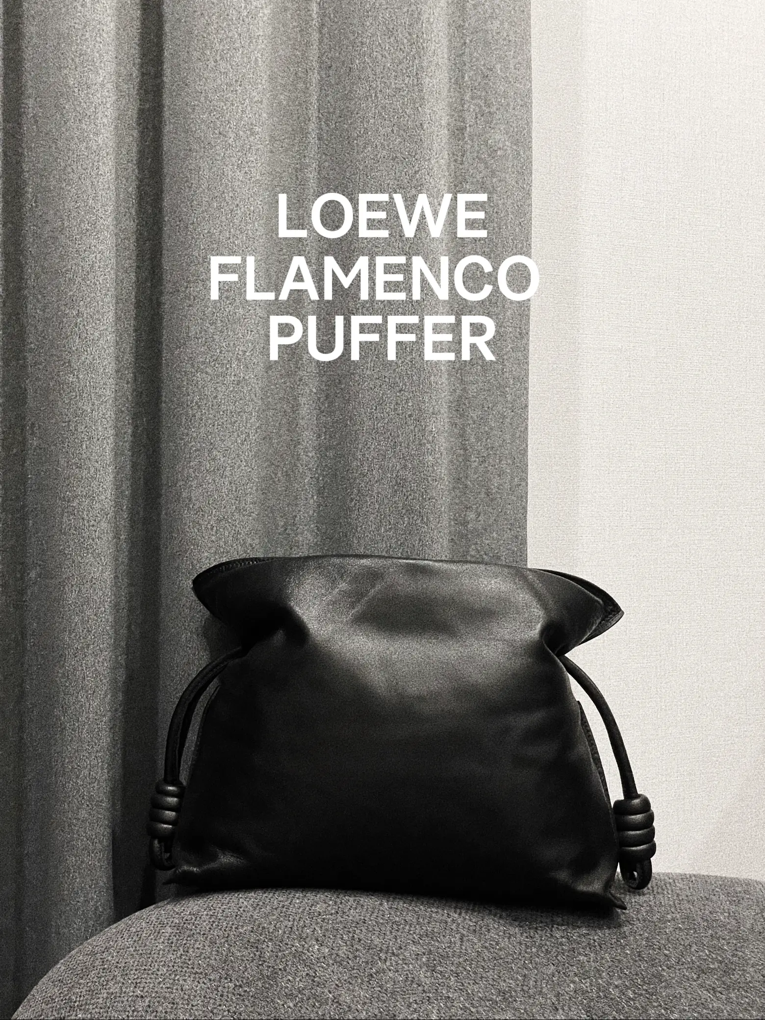 Loewe Flamenco Puffer, the soft   ✨ who turned the earth around