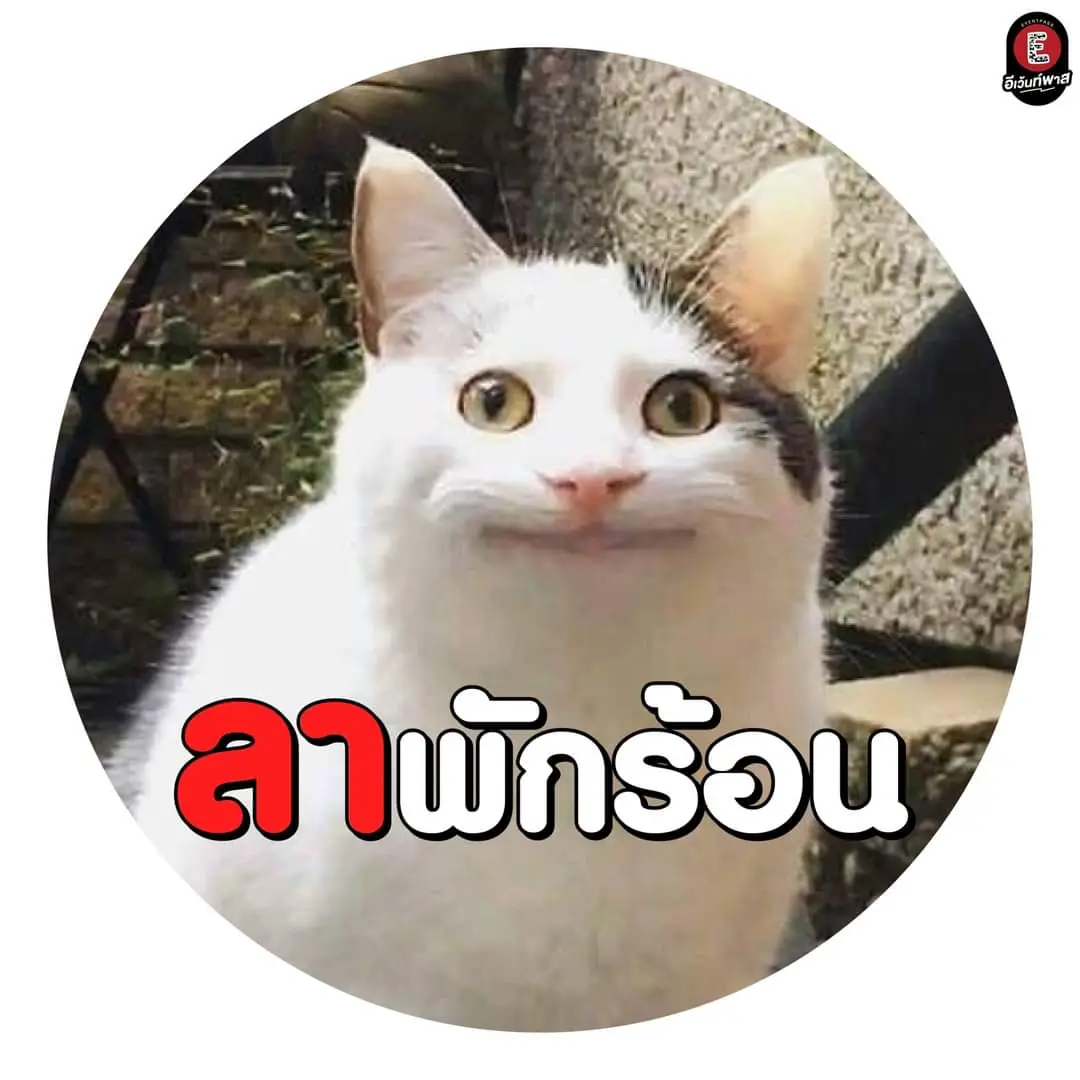 ลางานจ้ะ | แกลเลอรีที่โพสต์โดย ถูกต้อง💋 | Lemon8