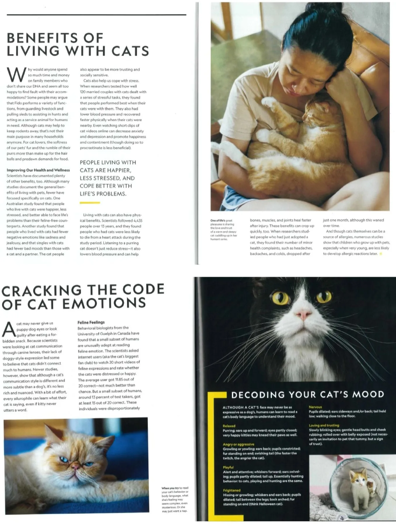 Decoding Cat Behavior