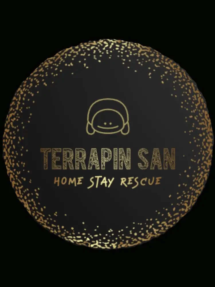 Boarding house for your terrapins Terrapin San แกลเลอรีที่โพสต์โดย