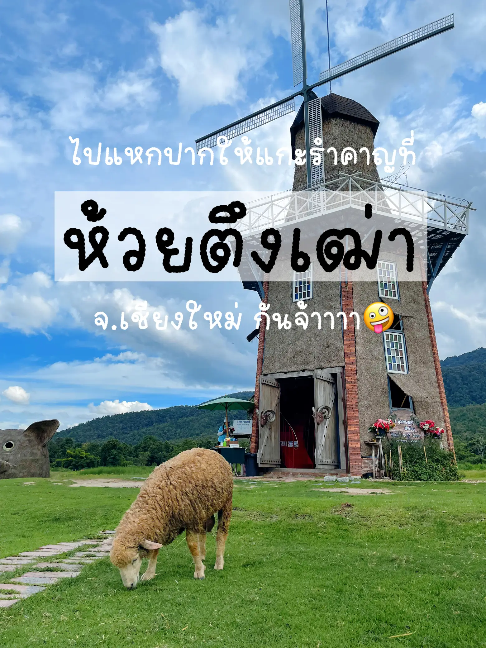チェンマイ旅行で羊と遊ぶために2時間持ってもいいですか?? | nraomp 