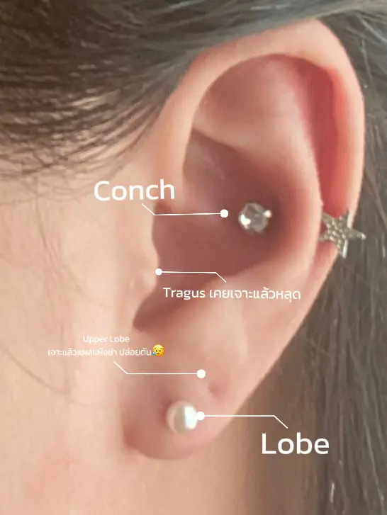 EAR PIERCING REVIEW Ear Piercing Conch Tragus Lobe | Gallery