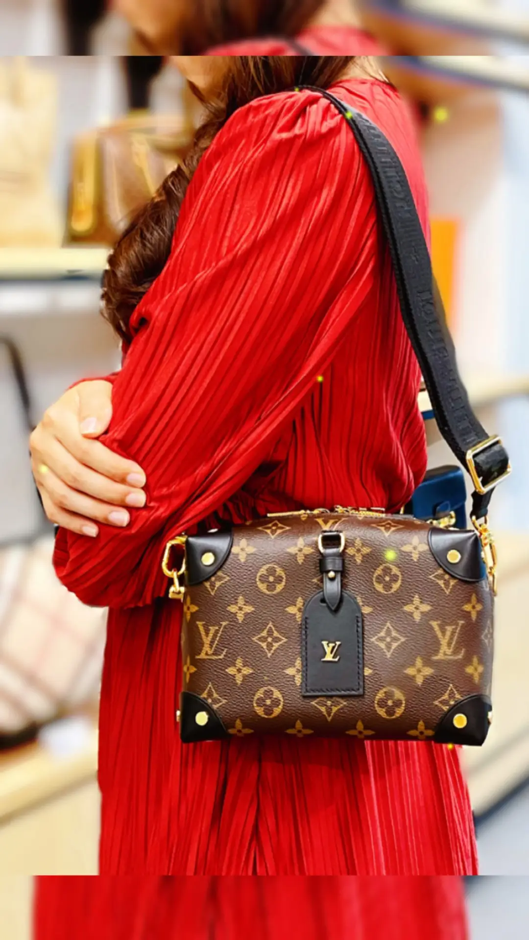 Louis Vuitton Petite Malle Souple Pros and Cons. What Fits 