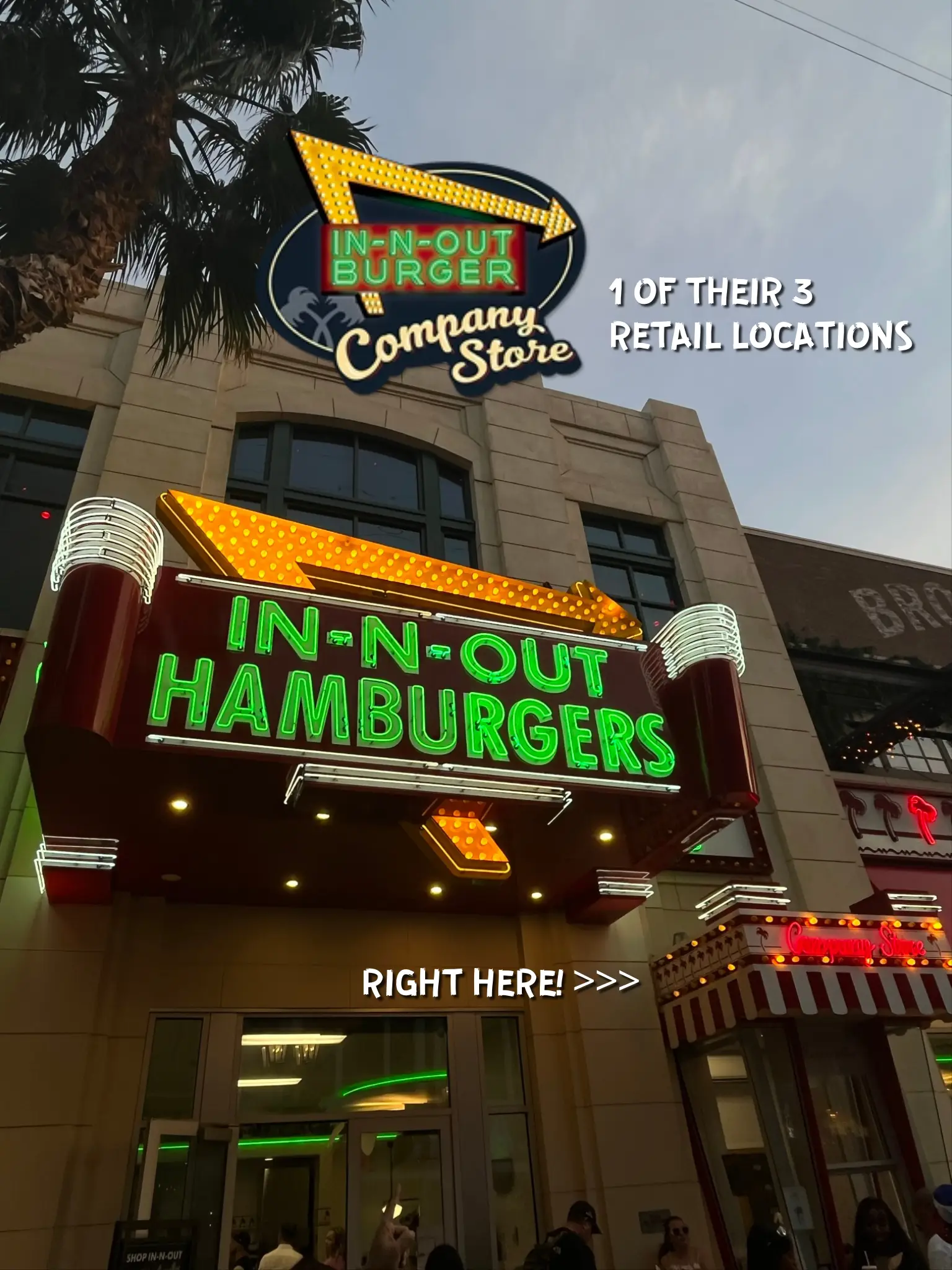 InNOut Merchandise and Souvenirs Lemon8 Search