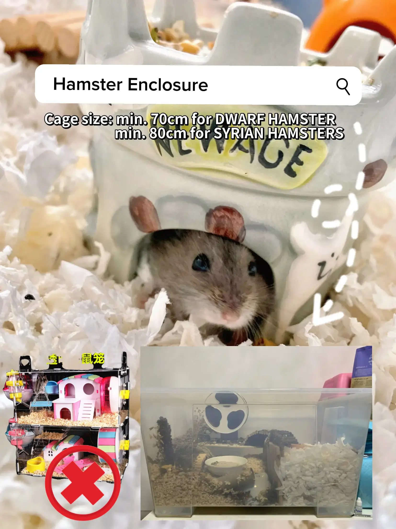 Minimum dwarf hamster outlet cage size