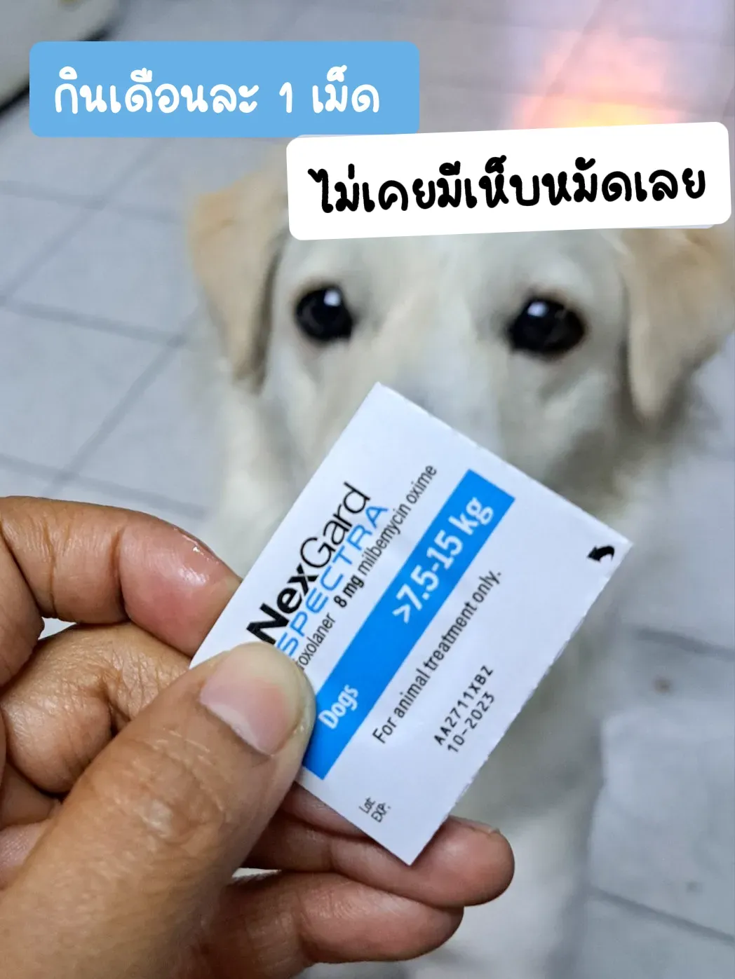 Nexgard Spectra Dog Sister Flea Tick Remover, Gallery posted by CockneyAnn