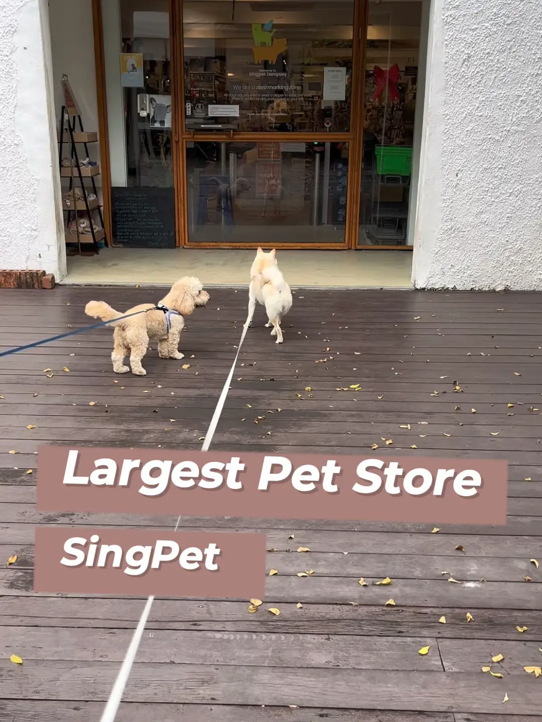 SingPet the largest pet store located Dempsey