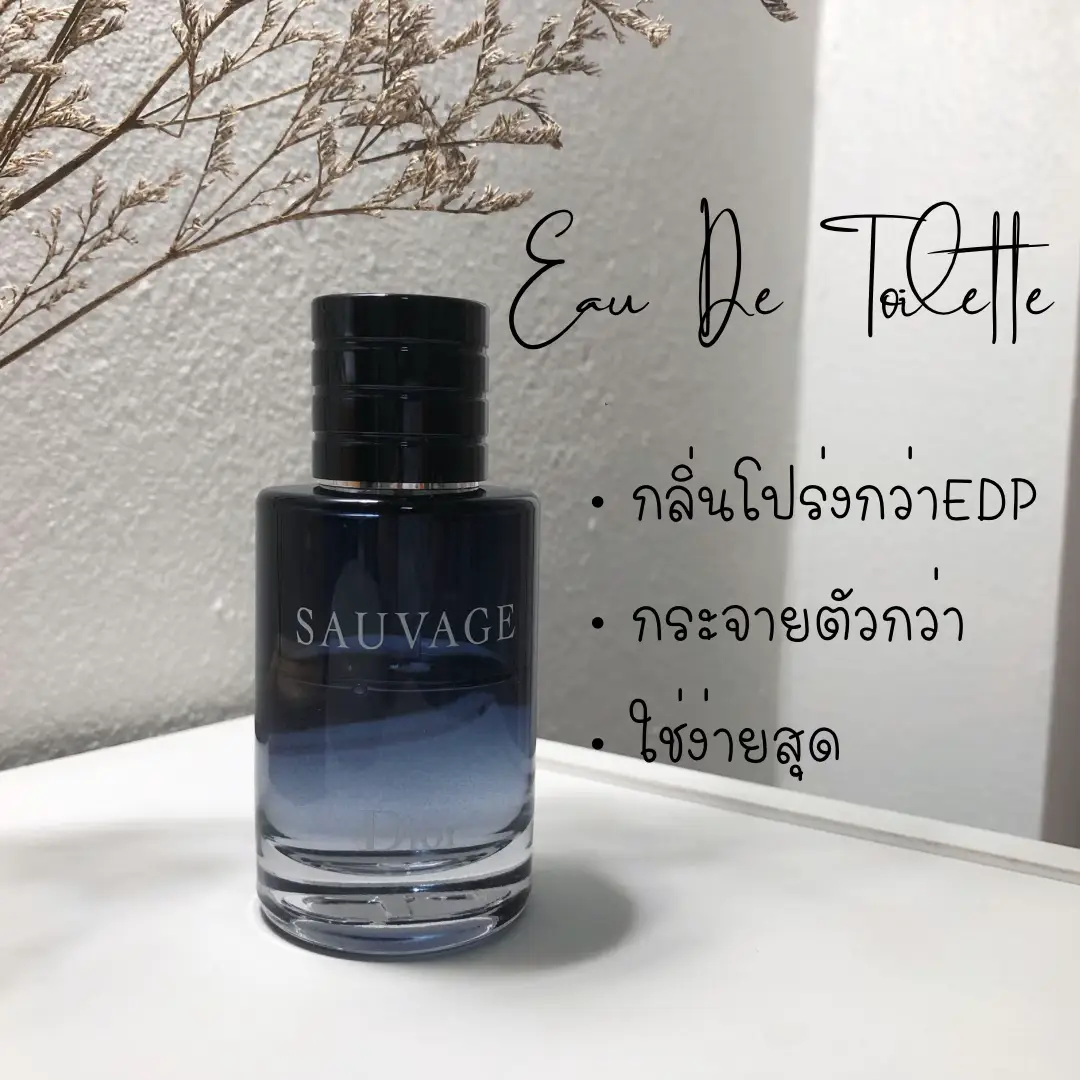 Dior sauvage online similar