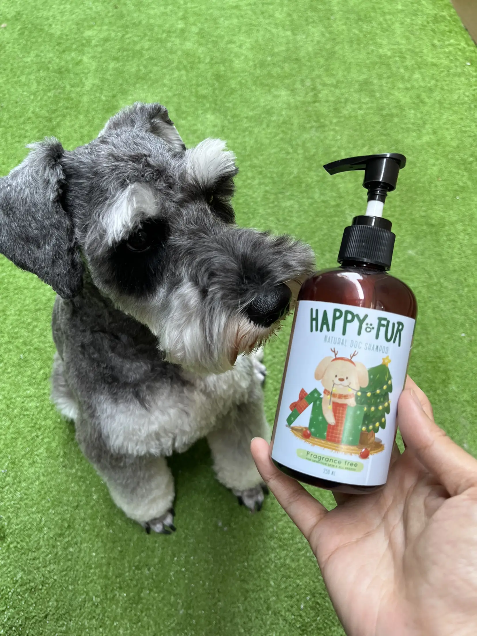 Schnauzer shampoo outlet