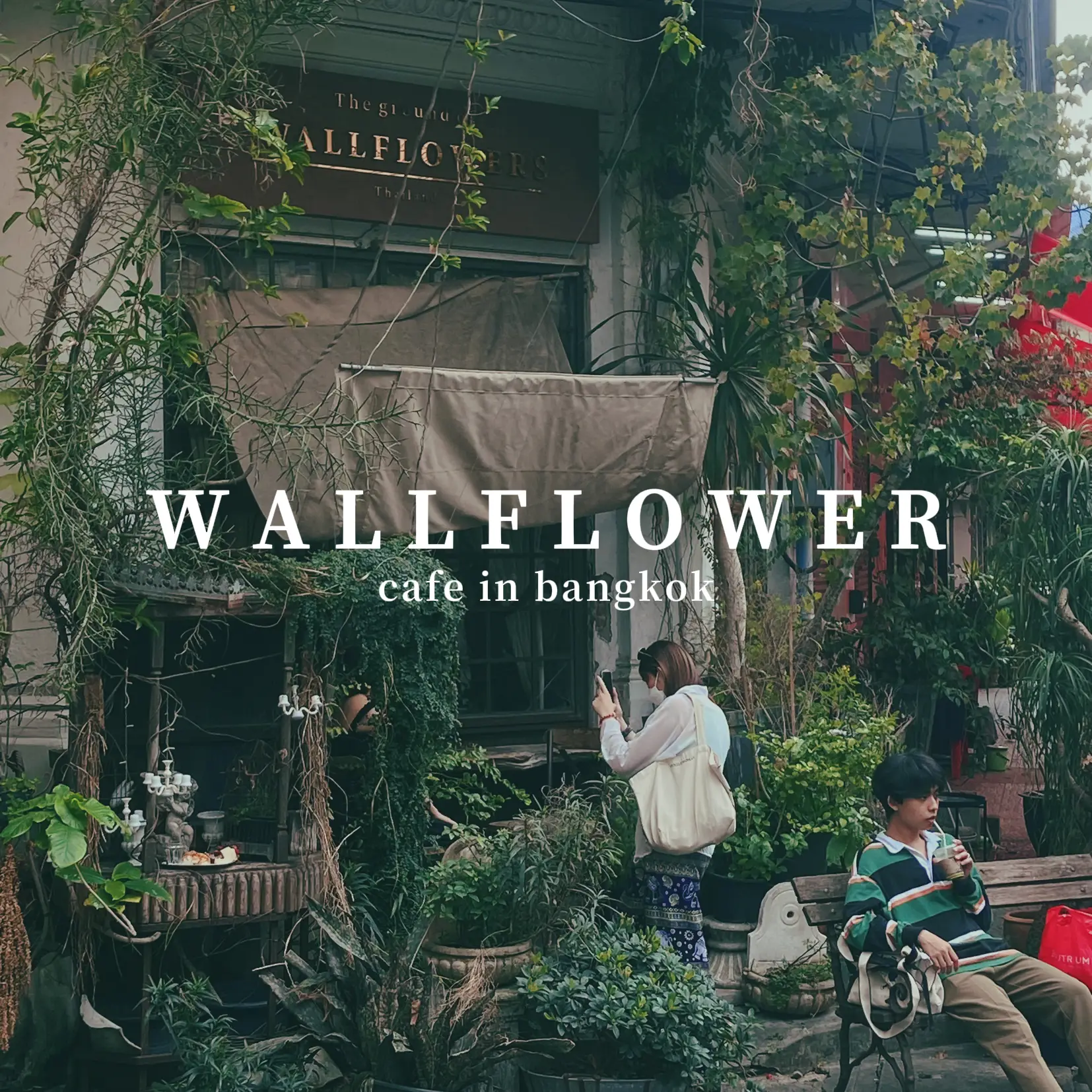 cafe reviews wallflower cafe [BKK] Gallery posted by Justin Lim Lemon8