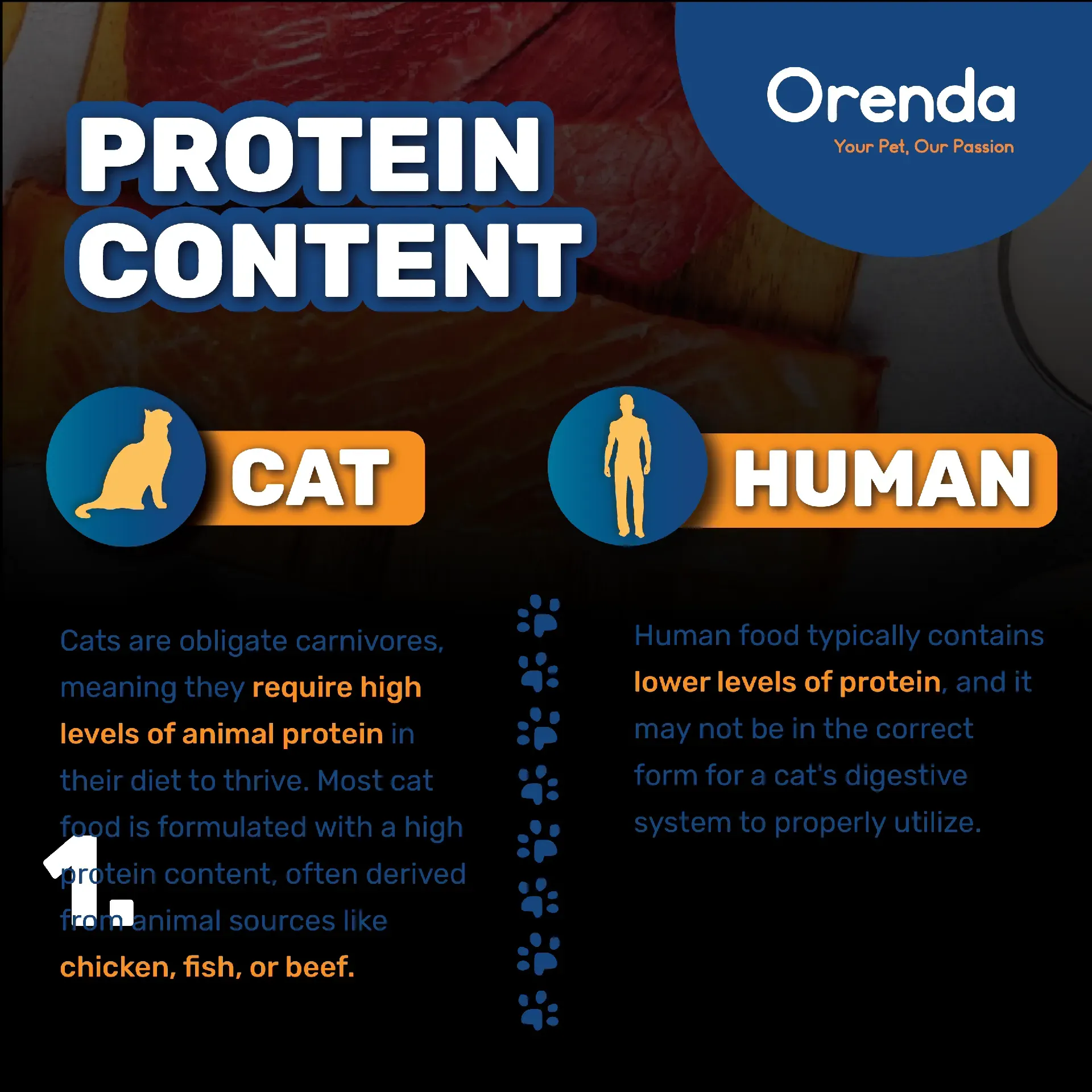 Cats Foods VS. Humans Food Galeri disiarkan oleh Orenda Lemon8