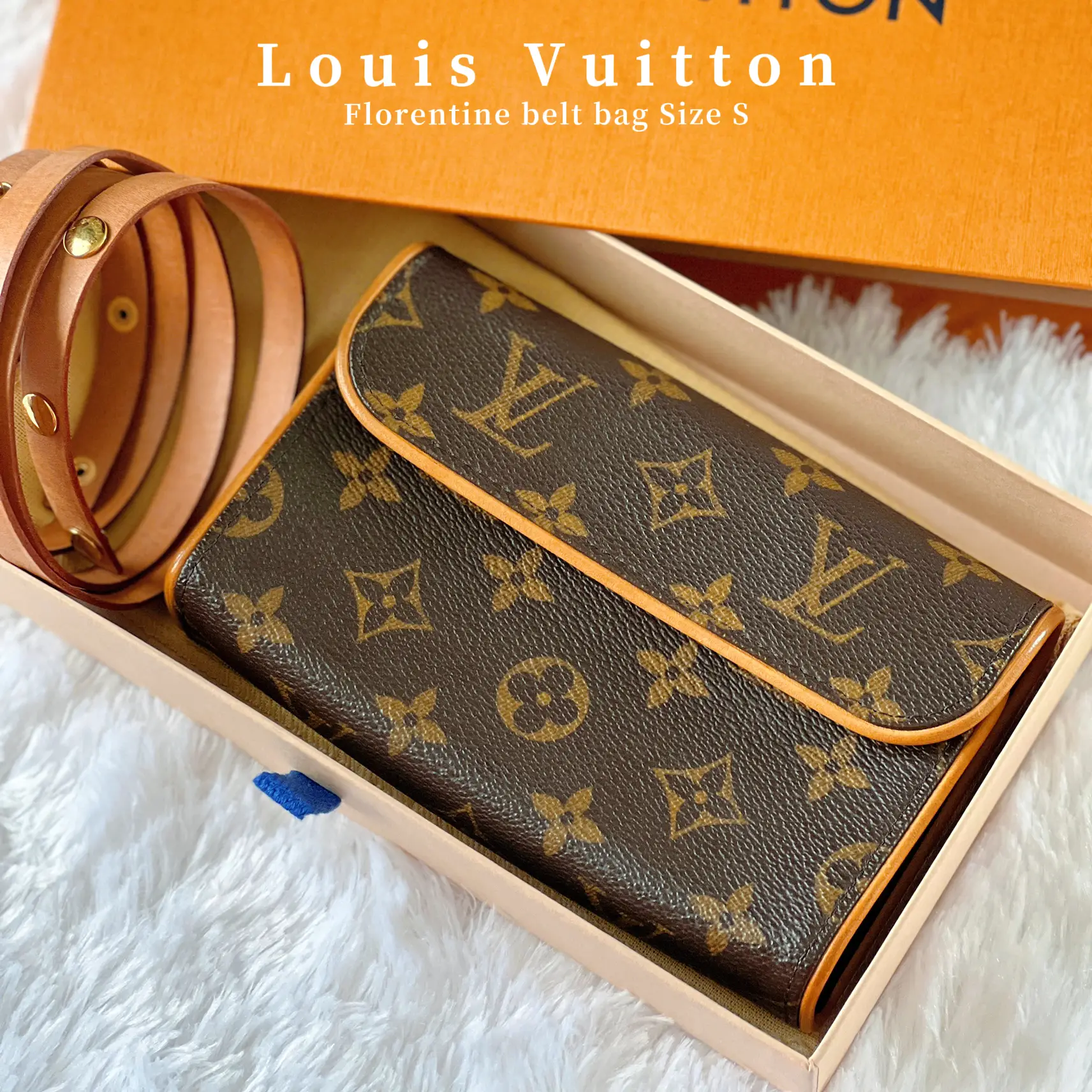 Louis Vuitton LV Vintage Florentine Crossbody Belt Bag, Luxury