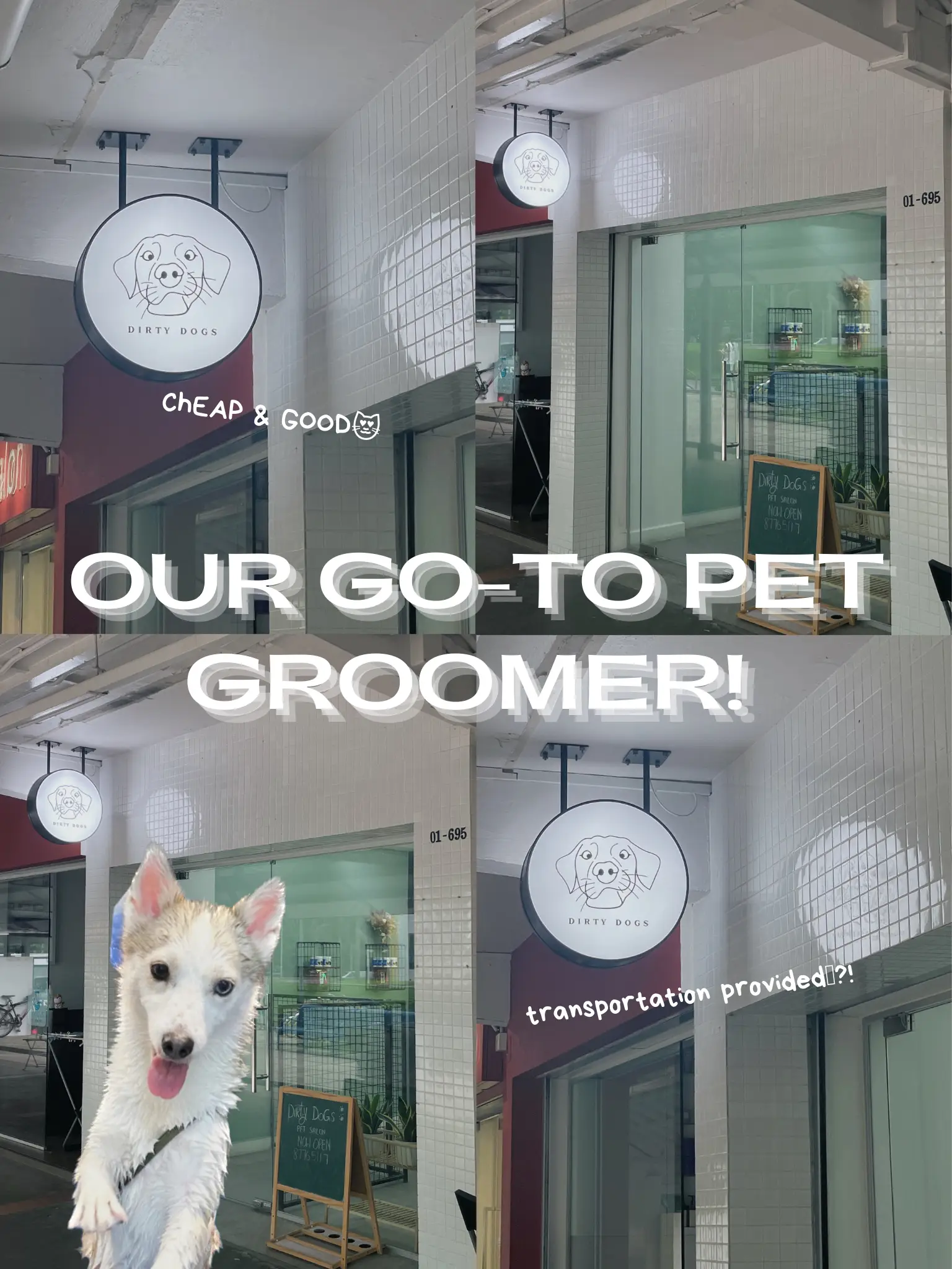 Cheap pet grooming clearance near me