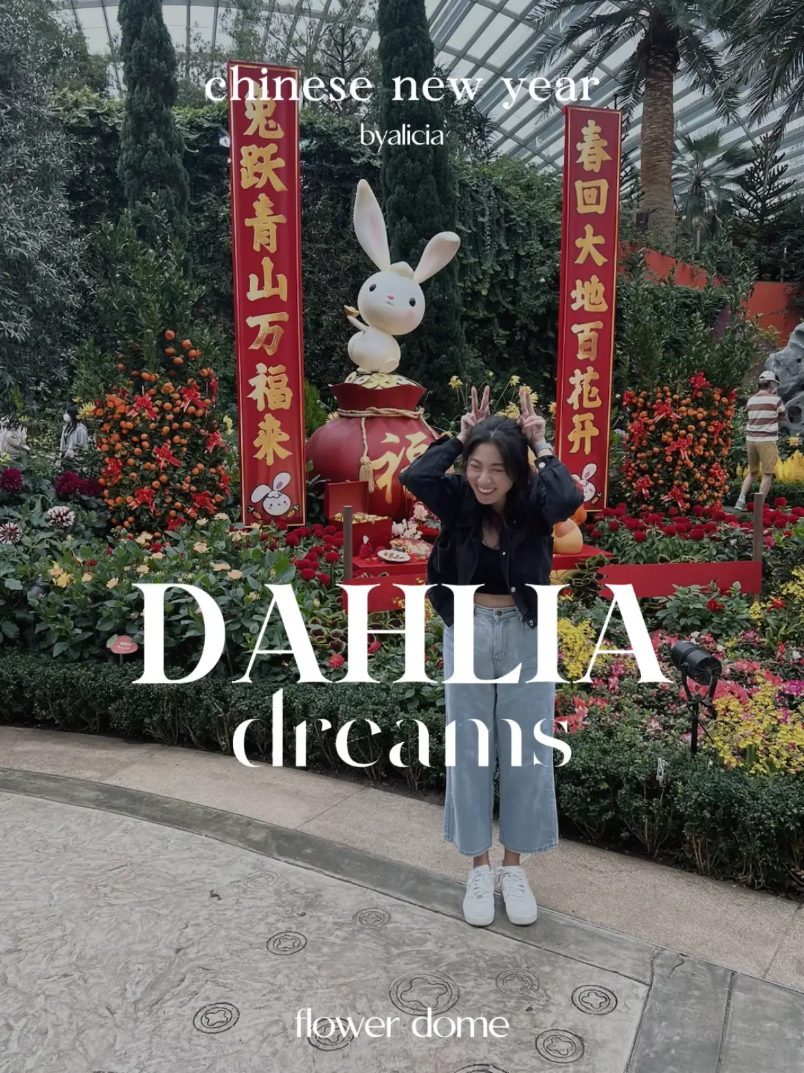 Dahlia Dreams - Lemon8 Search