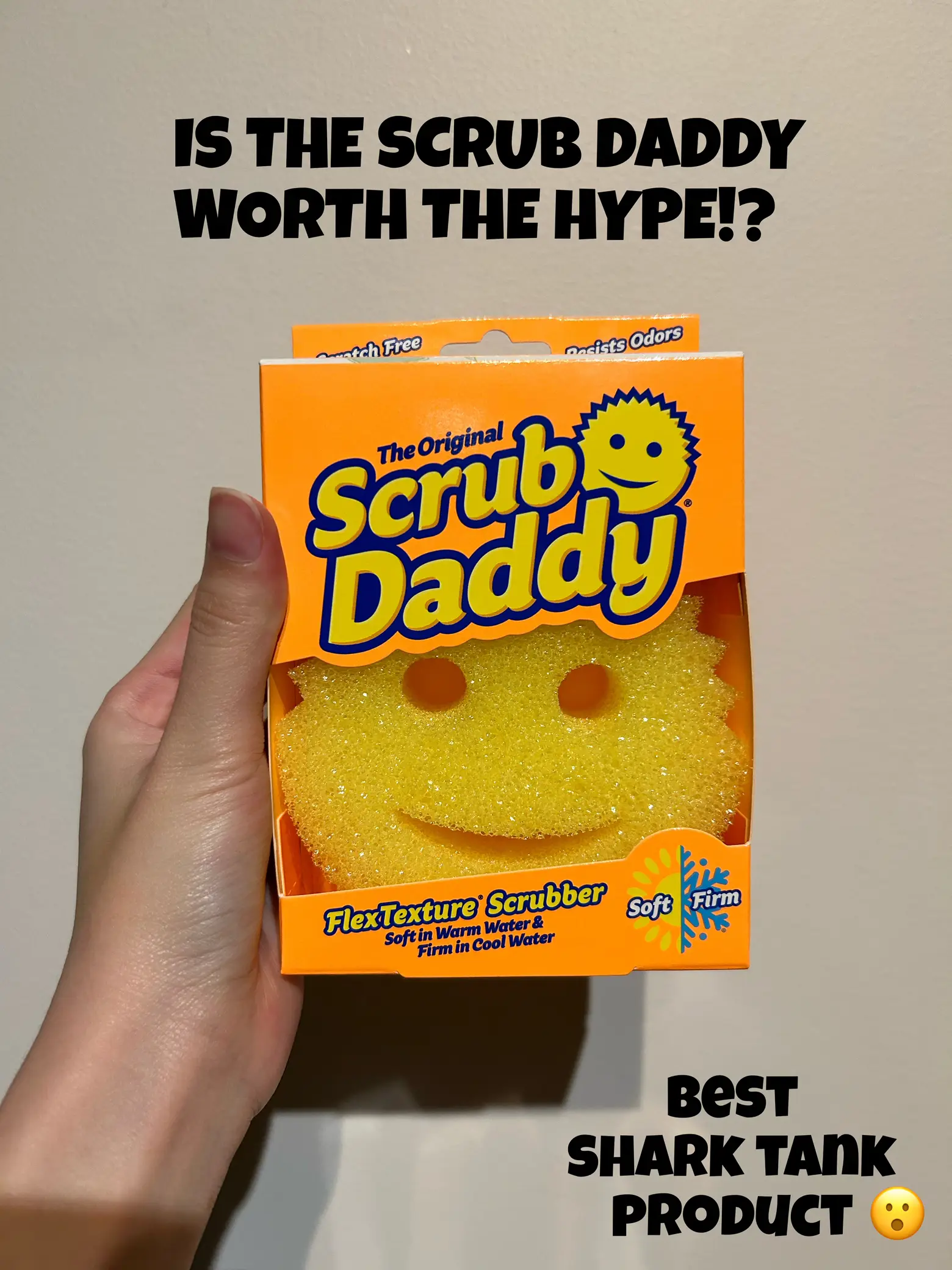 The best sponge ever or just smart marketing??, Gallery posted by  Bblancivyy