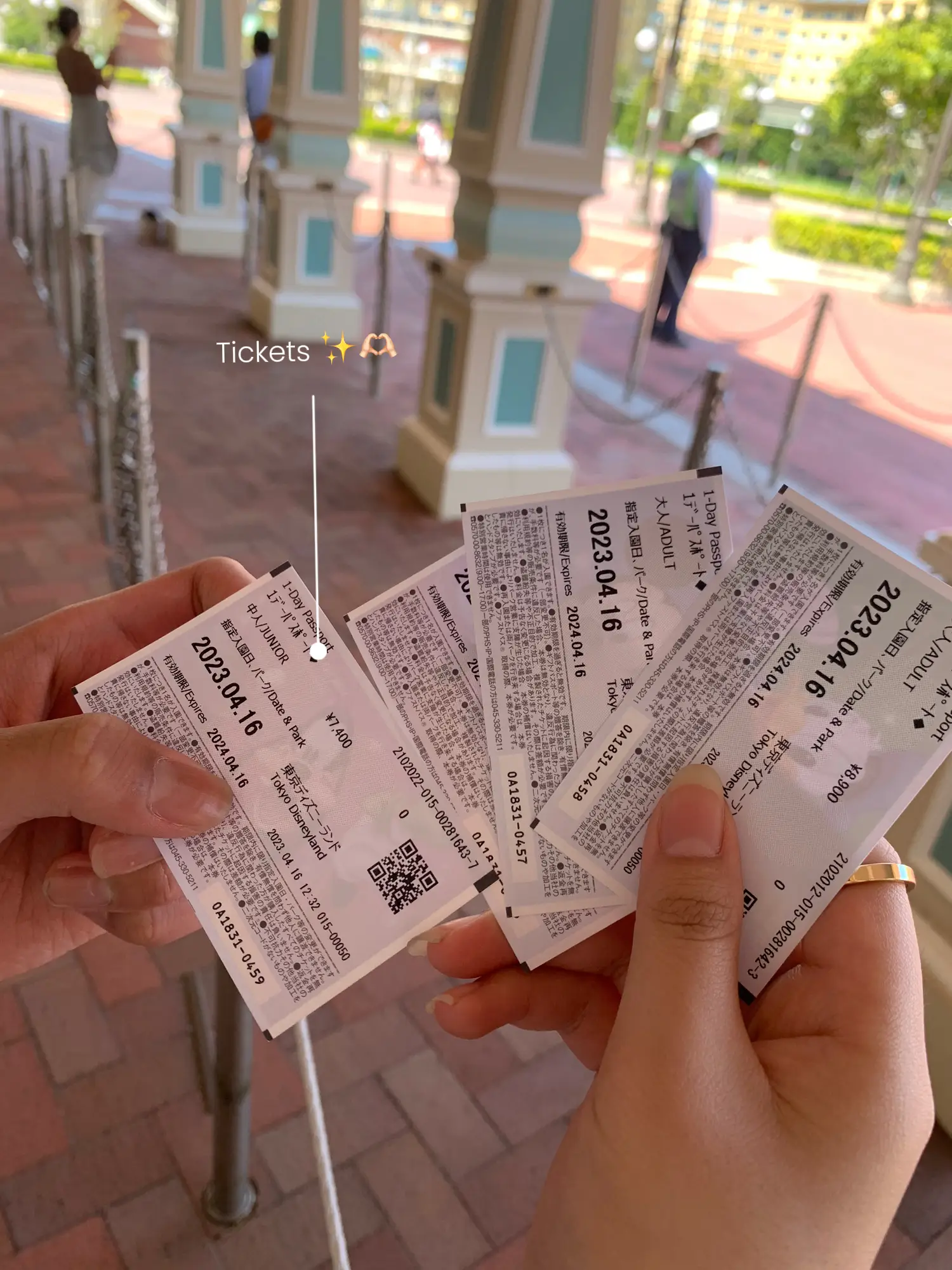10/27】ハッピー15エントリー TDL 2枚セット はかなく
