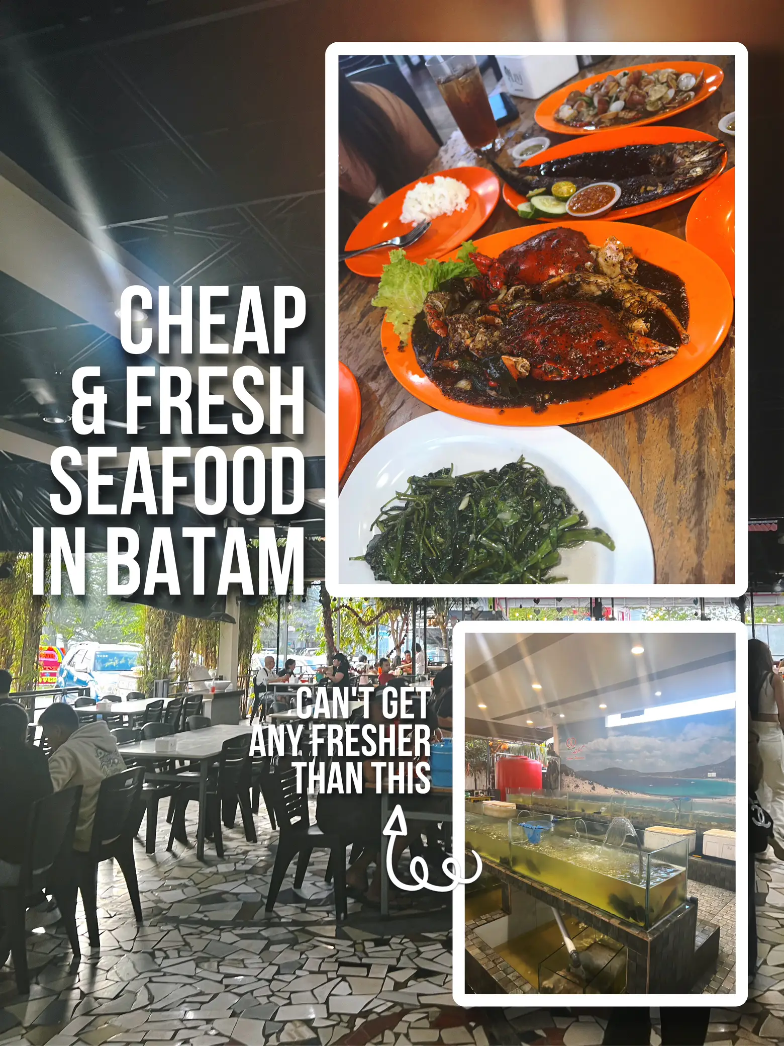 Unveiling the Best Seafood restaurants in Batam - Harbour Bay Downtown