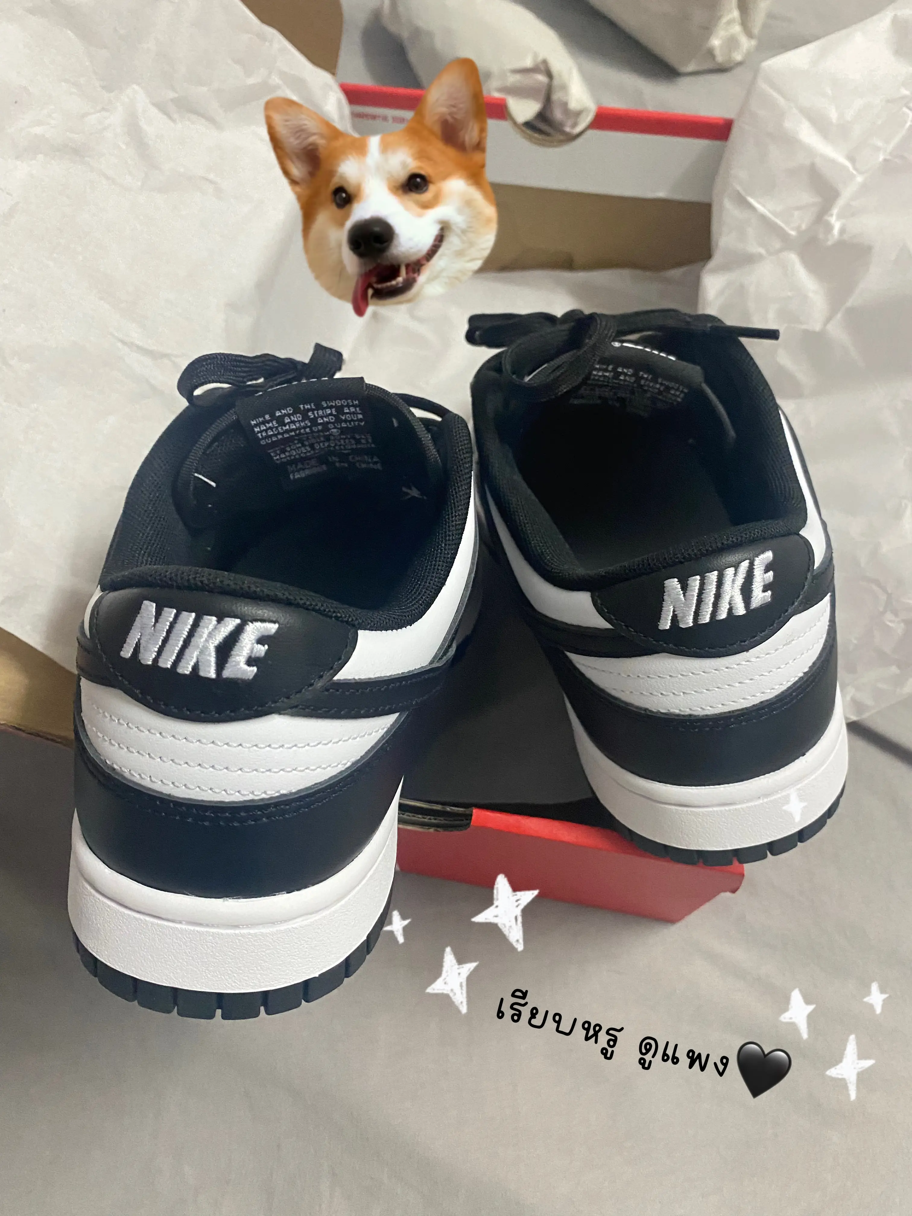 NIKE DUNK LOW BY YOU 24cm 眺め 白黒パンダ ナイキダンクロー 