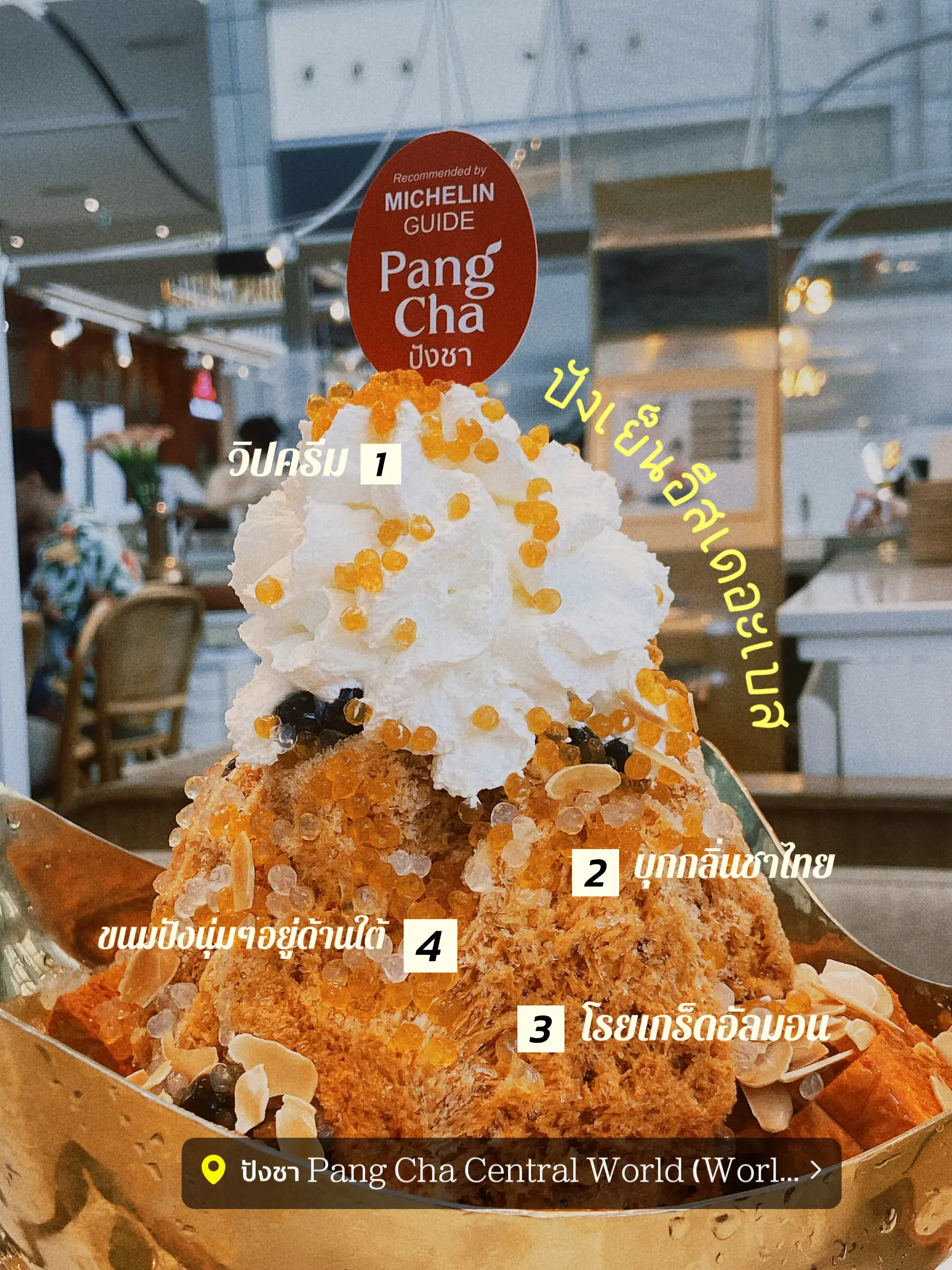 Pangcha Central World Lemon8