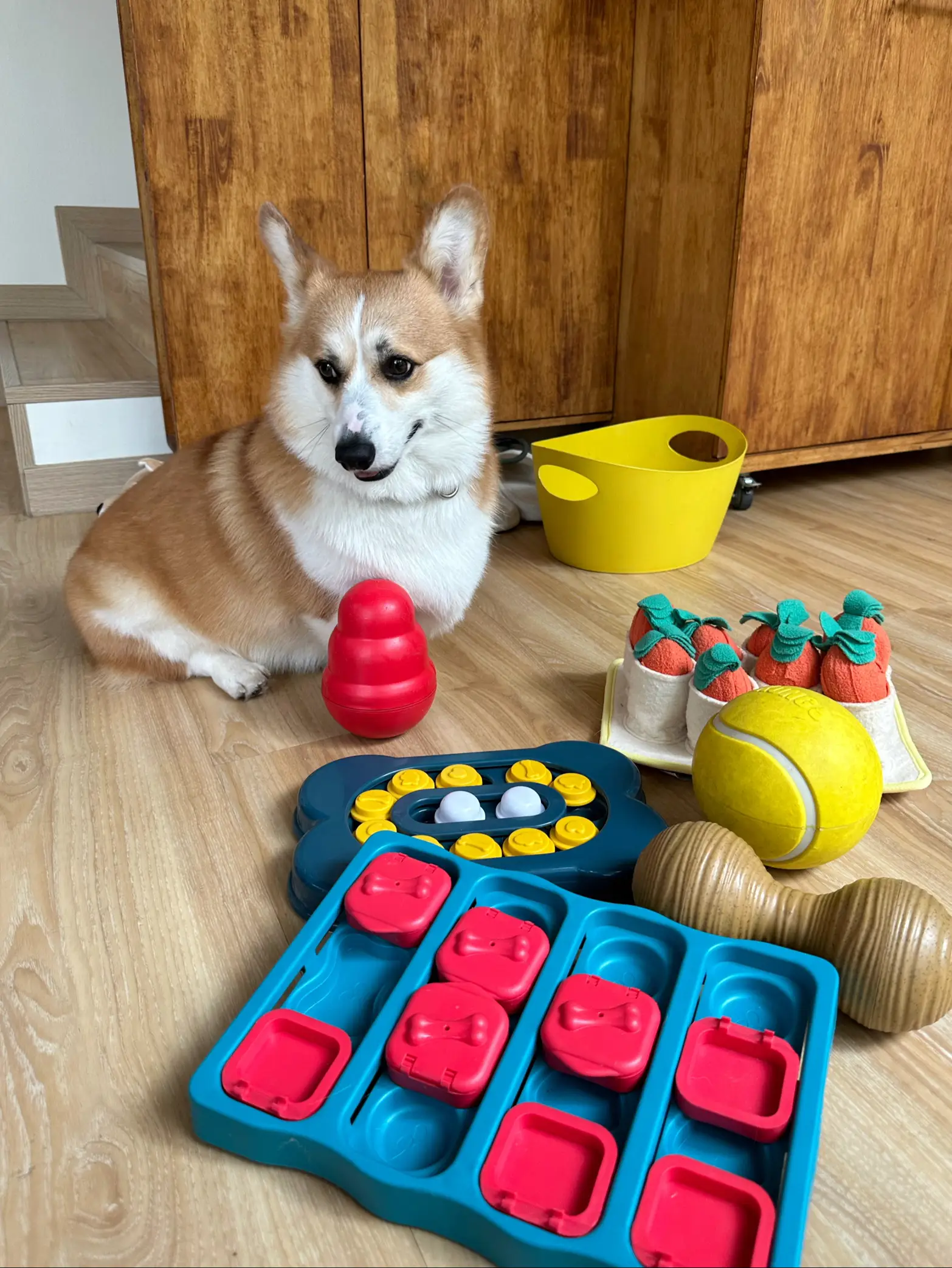 LOOBANI Dogs Food Puzzle Feeder Toys