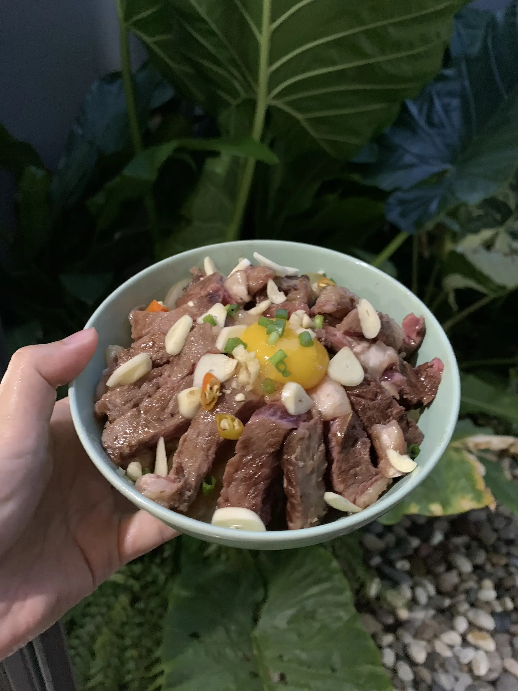 The succinct edition of 🥩🍚 rice is finished in five minutes. | Gallery ...