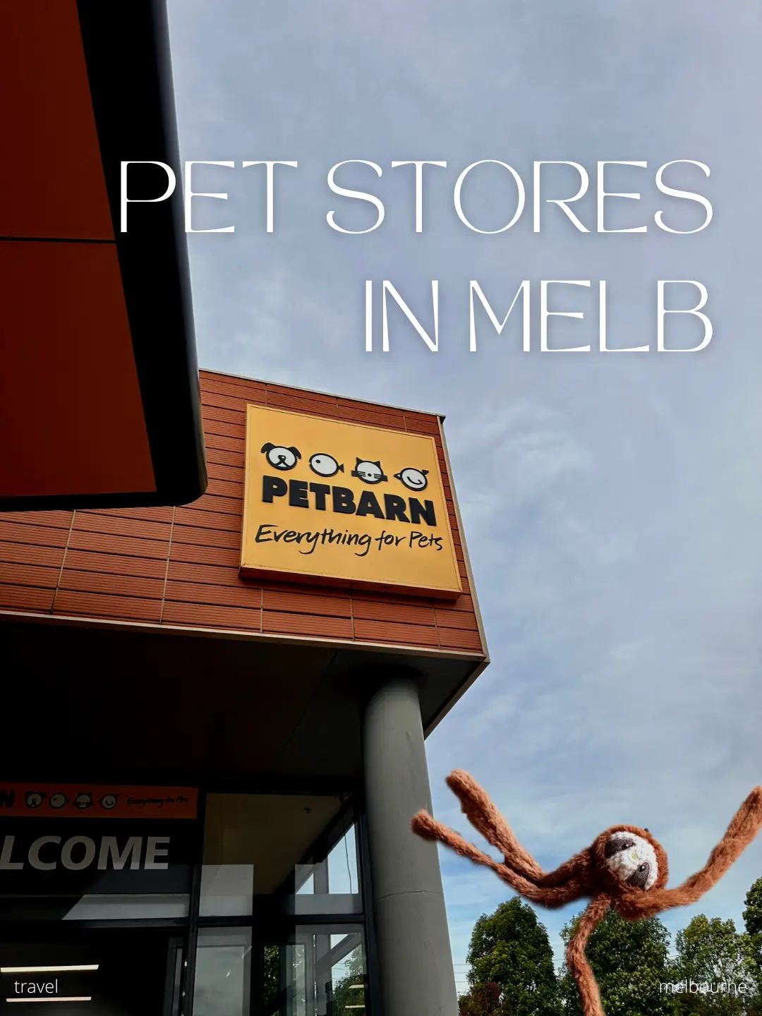 Inexpensive 2024 pet supplies