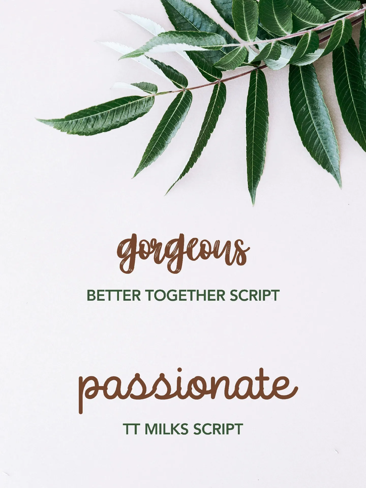 Typography Font - Carian Lemon8