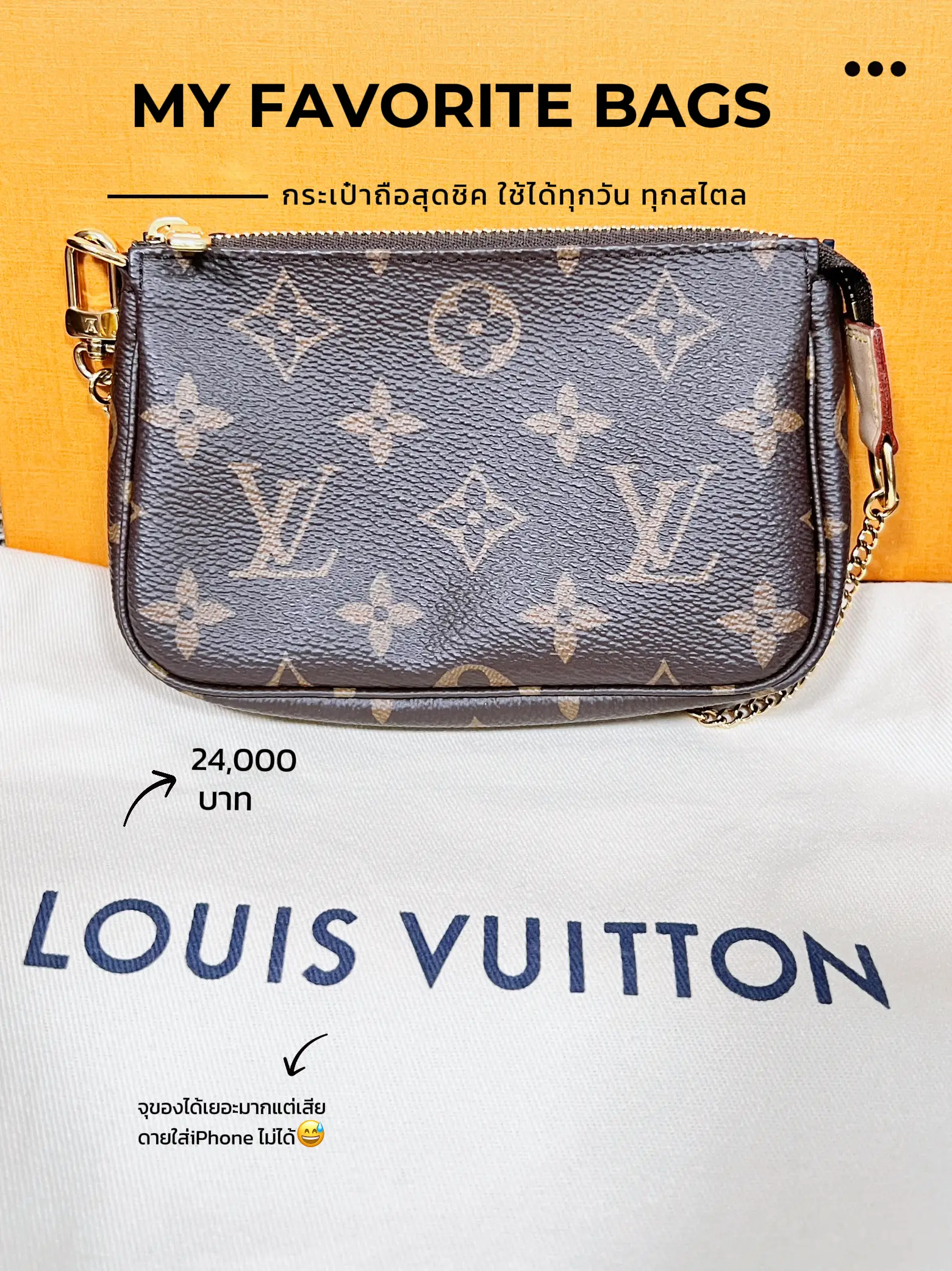 Louis Vuitton Mini Pochette Accessoires Grey Cloth ref.817127 - Joli Closet