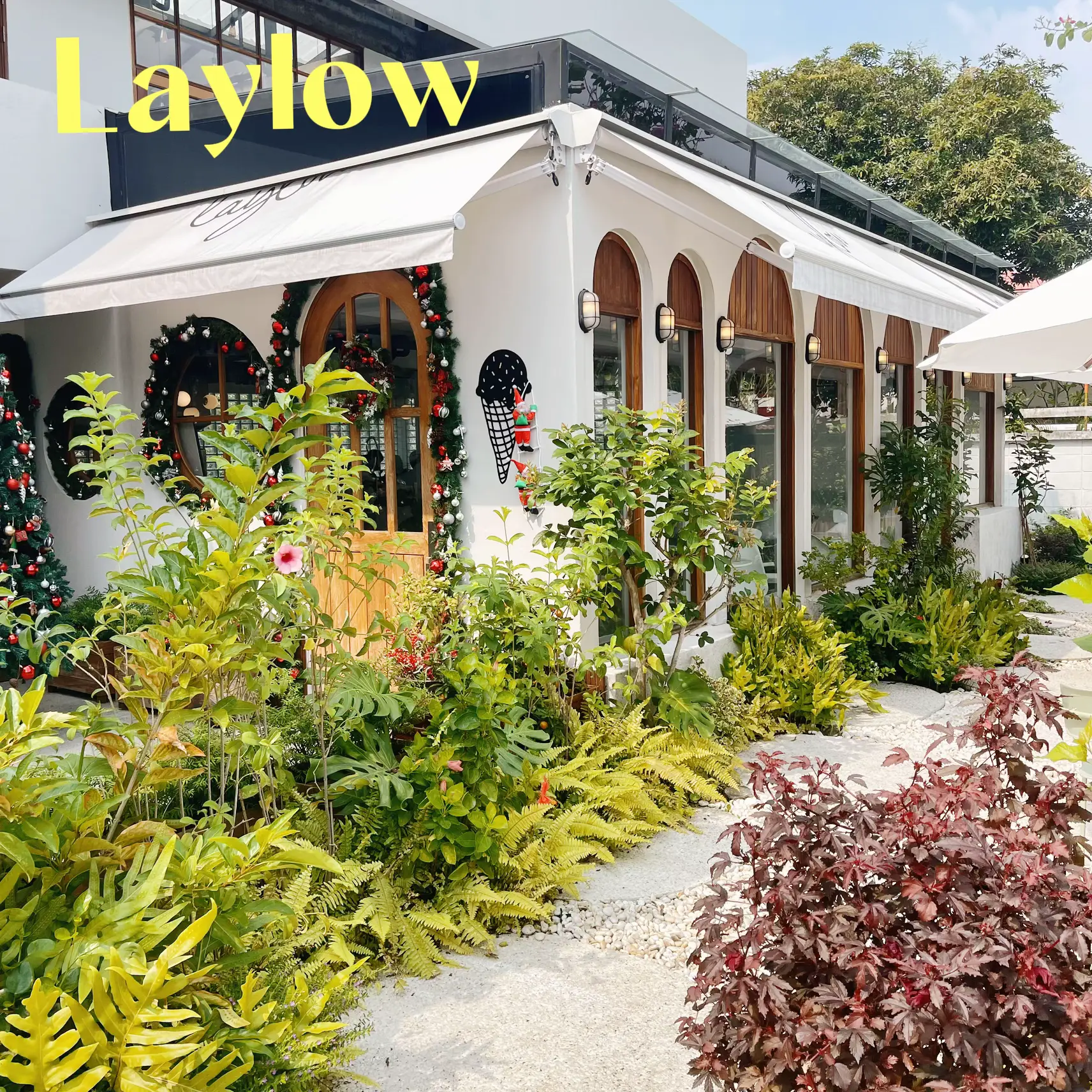 Laylow Cafe with Very Delicious Ice Cream | Gallery posted by Pitcha.Lim |  Lemon8