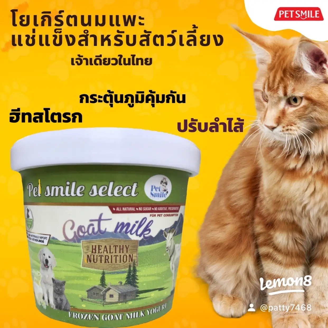 How to give a cat yogurt cat measles fever. Cat diarrhea. Gallery posted by PETSMILE Lemon8