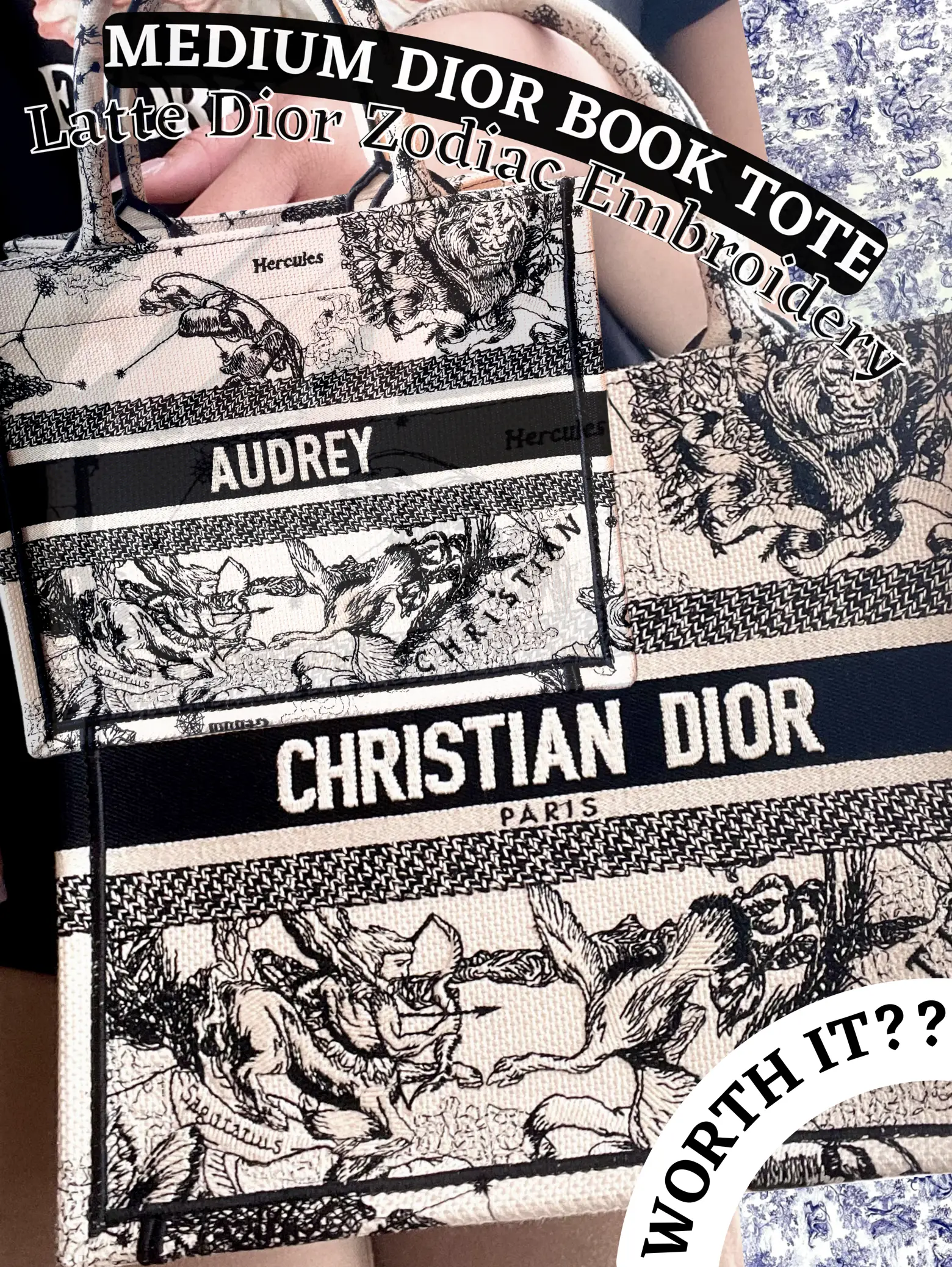 DIOR BOOK TOTE REVIEW Pro's & Con's, IS IT STILL WORTH BUYING? 🚨
