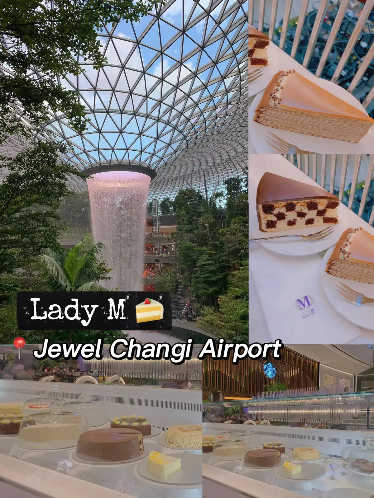 新加坡网红蛋糕店🍰Lady M@Jewel | Galeri disiarkan oleh 莱恩·生活