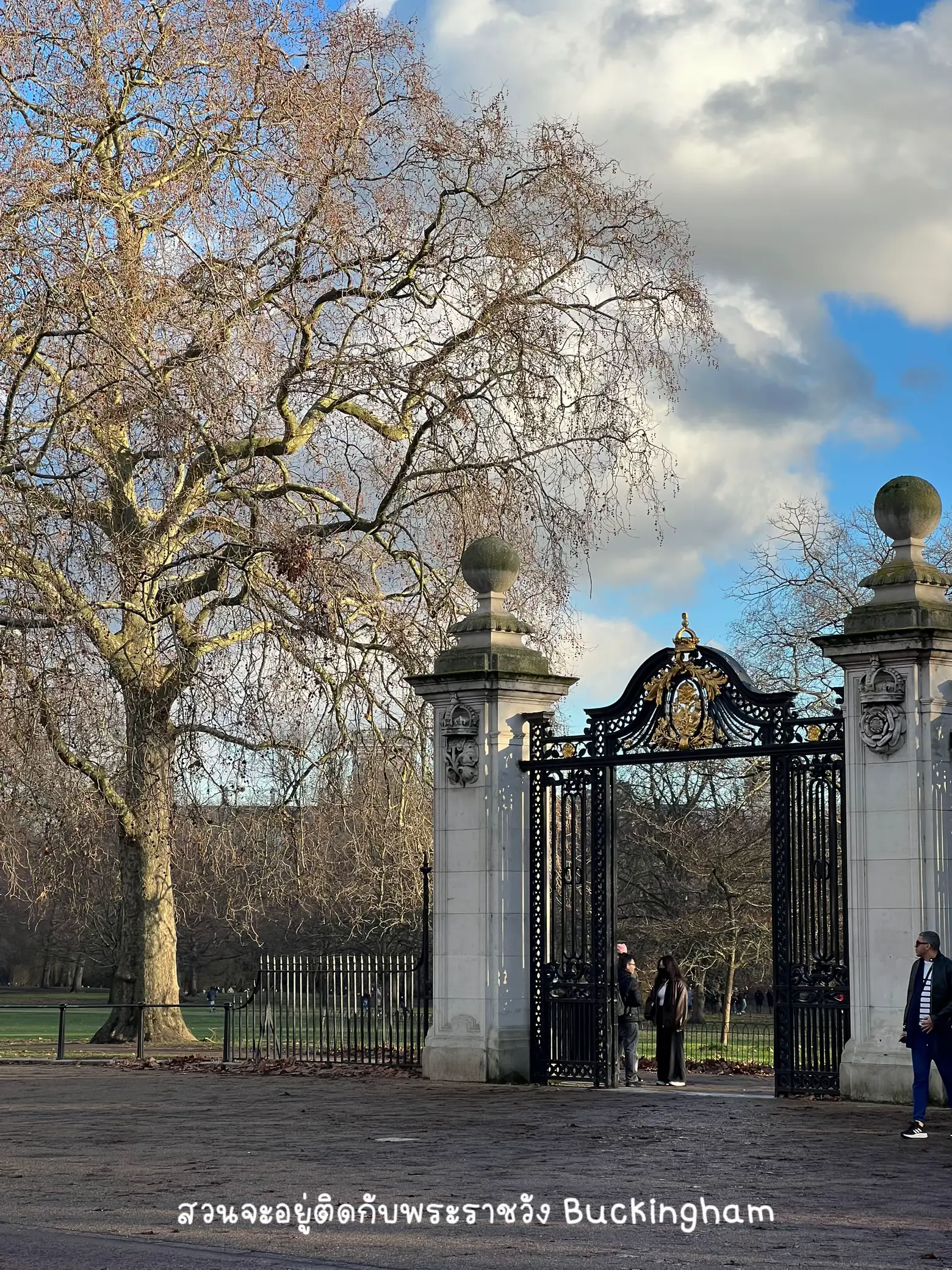 イギリスのレビュー28:セント・ジェームズ・パーク・セントラル・ロンドン・ガーデン  🌳🌞 | Lookmu.が投稿したフォトブック |  Lemon8