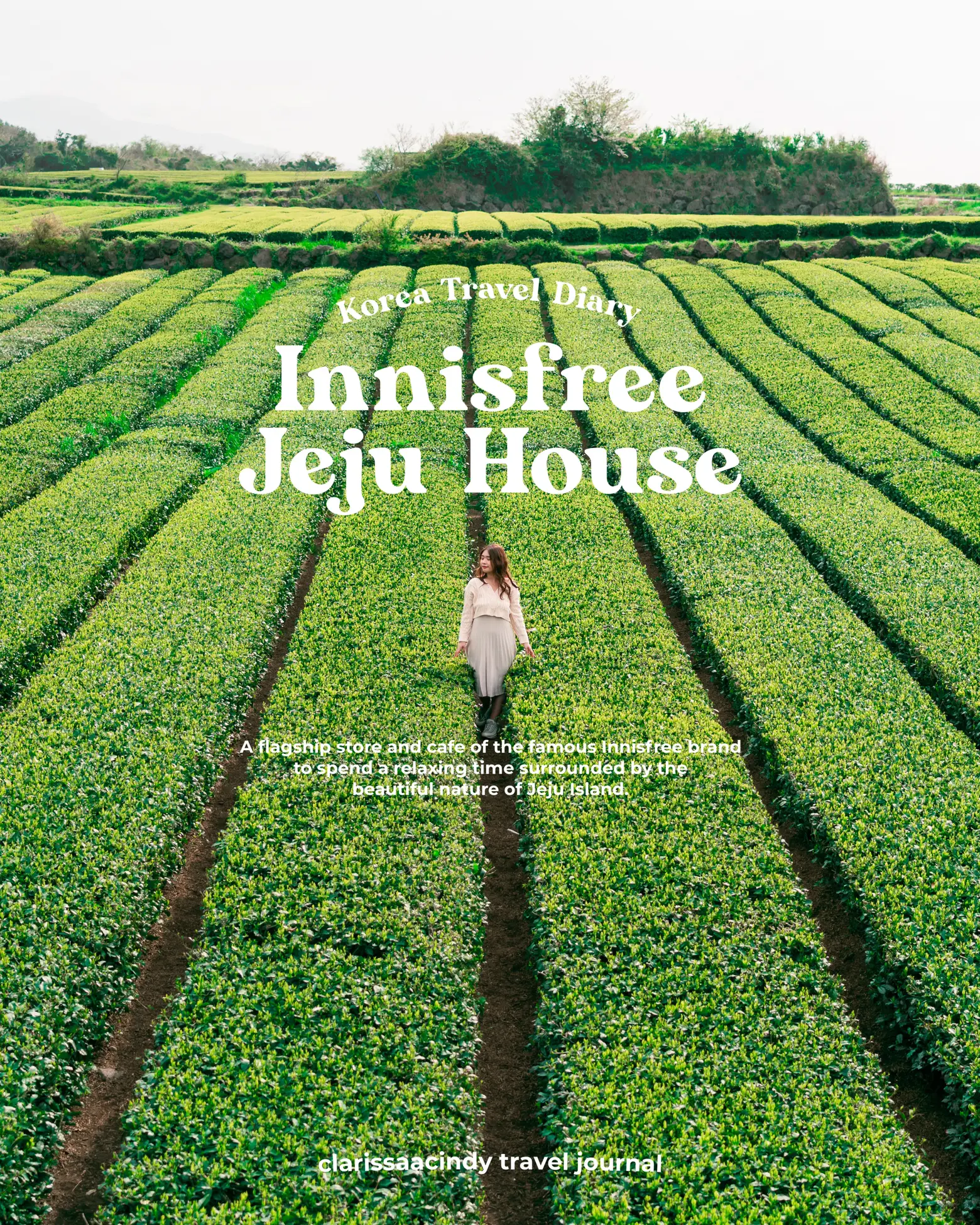 Innisfree jeju deals