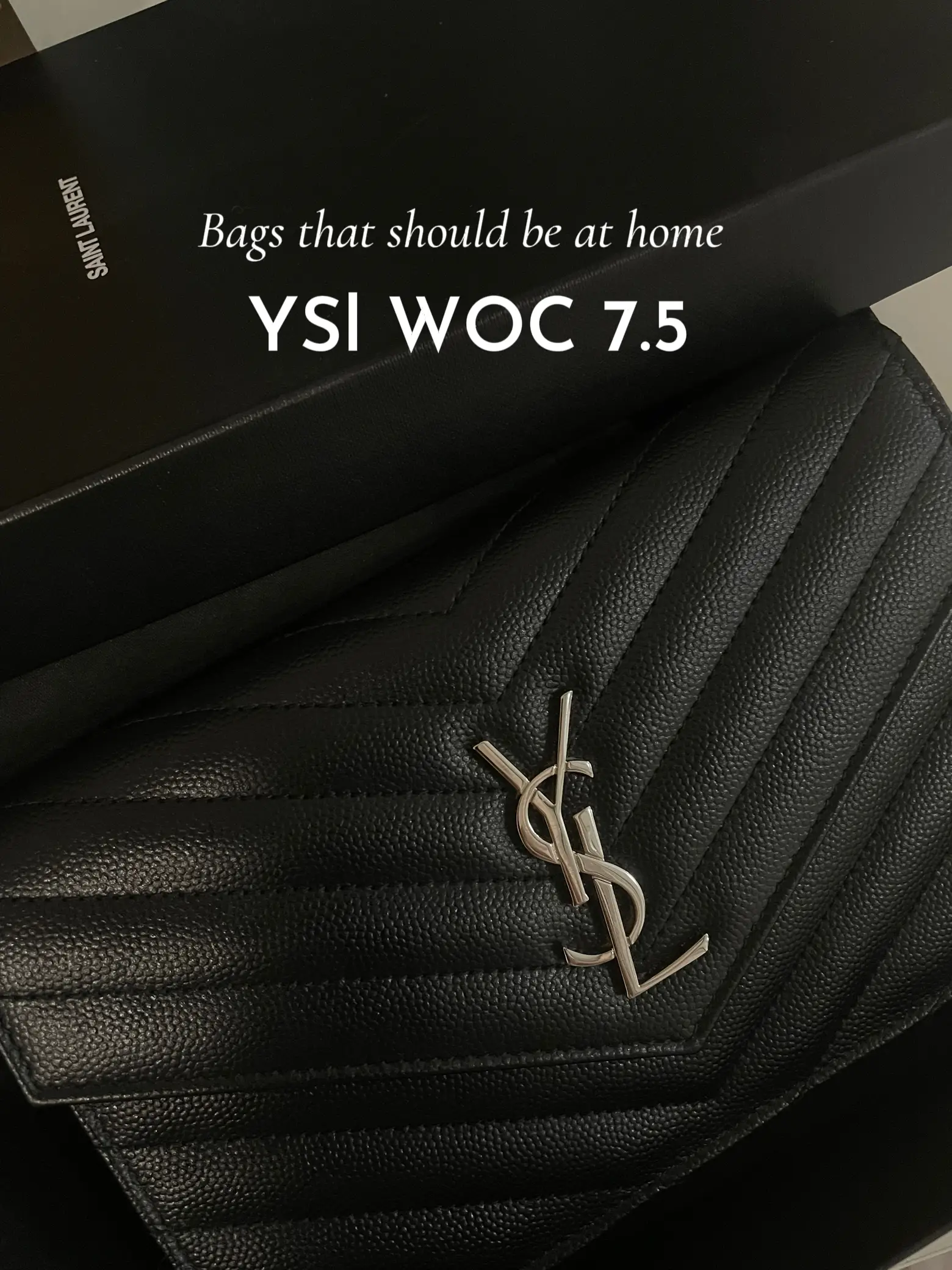 Ysl woc 7.5 Anti death Bag Gallery posted by Ying Ying Lemon8