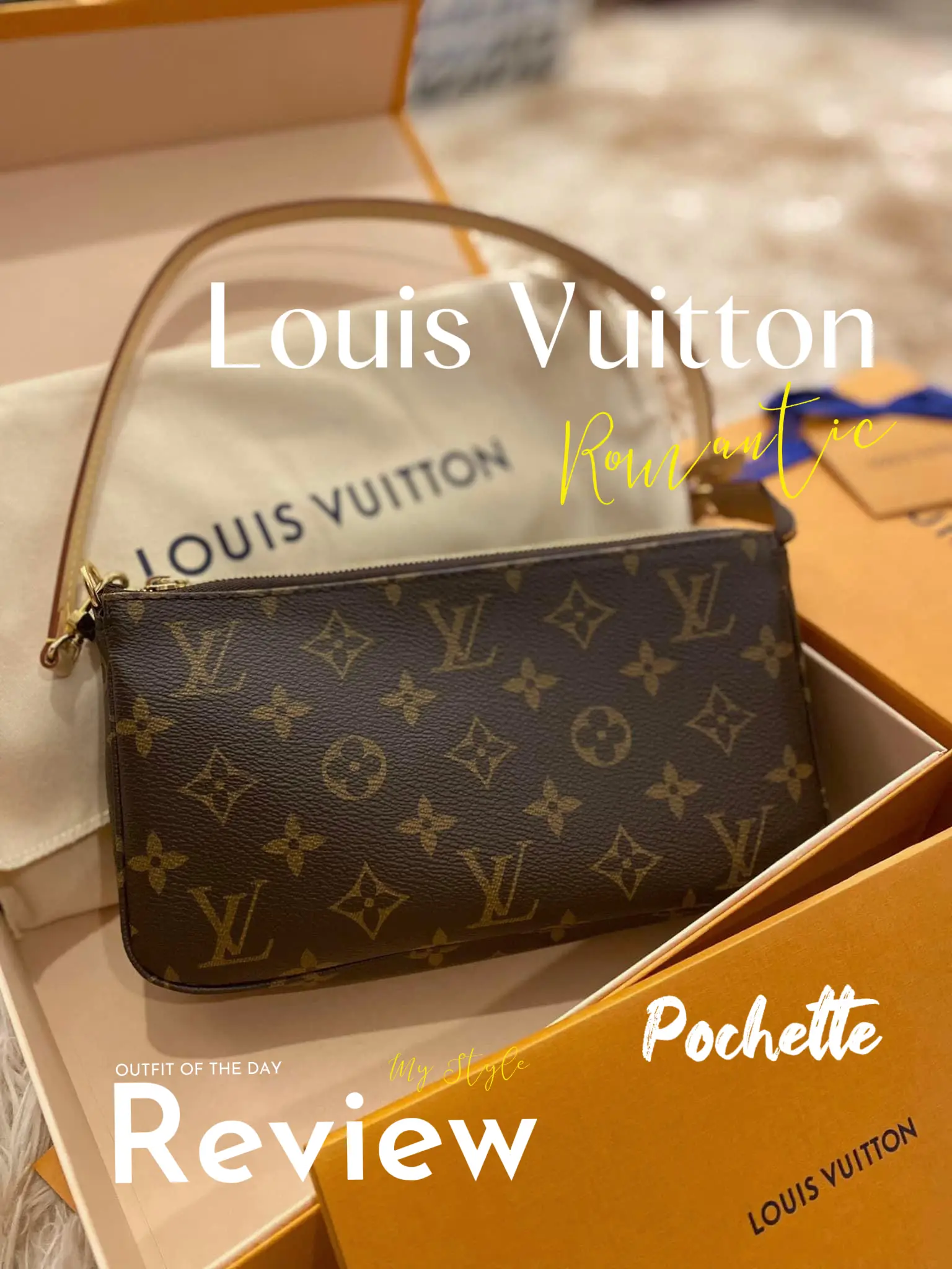 Louis Vuitton Pochette Accessoires in Monogram - More Than You Can Imagine