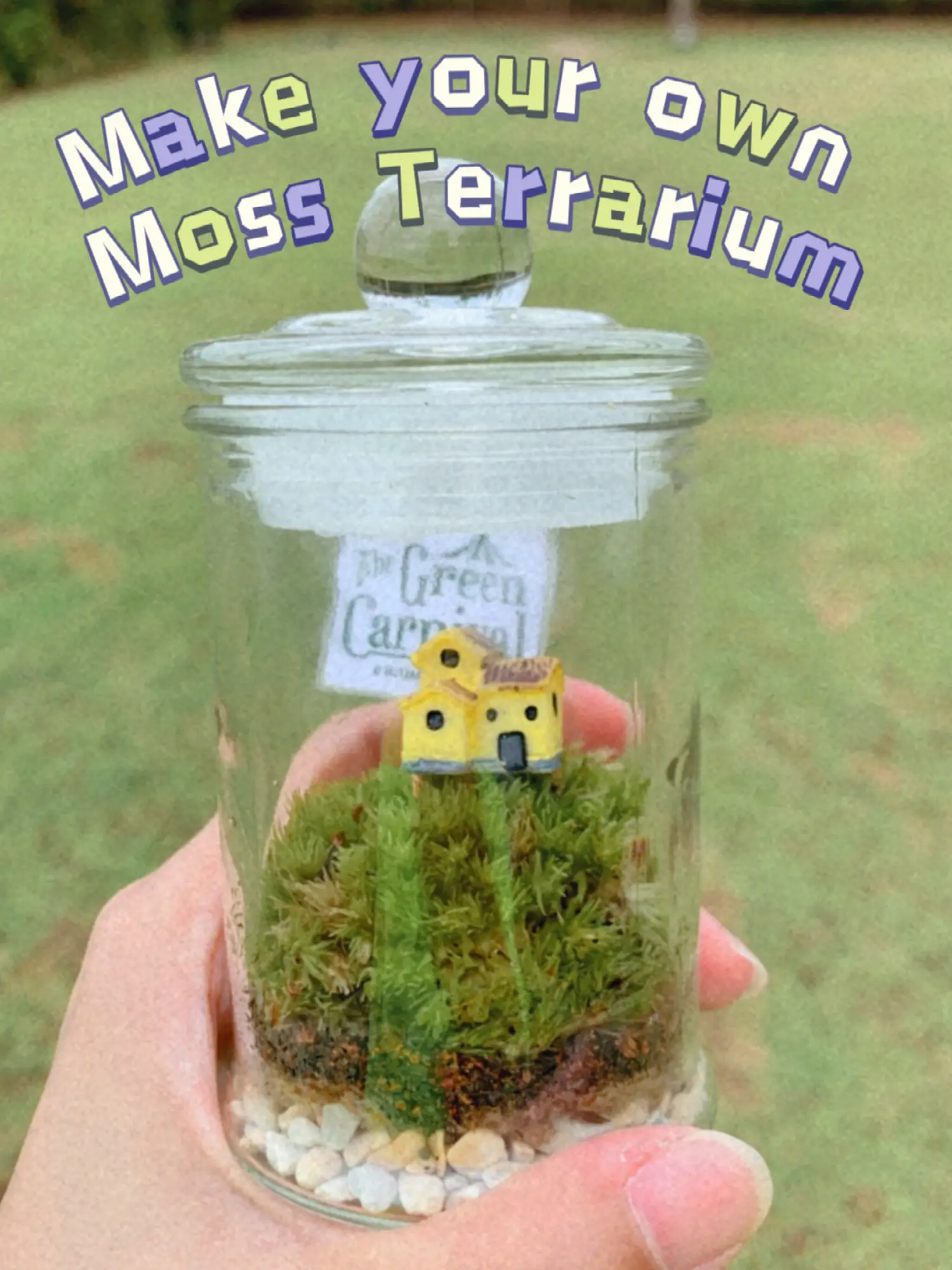 No Fuss, No Water, Moss Terrarium